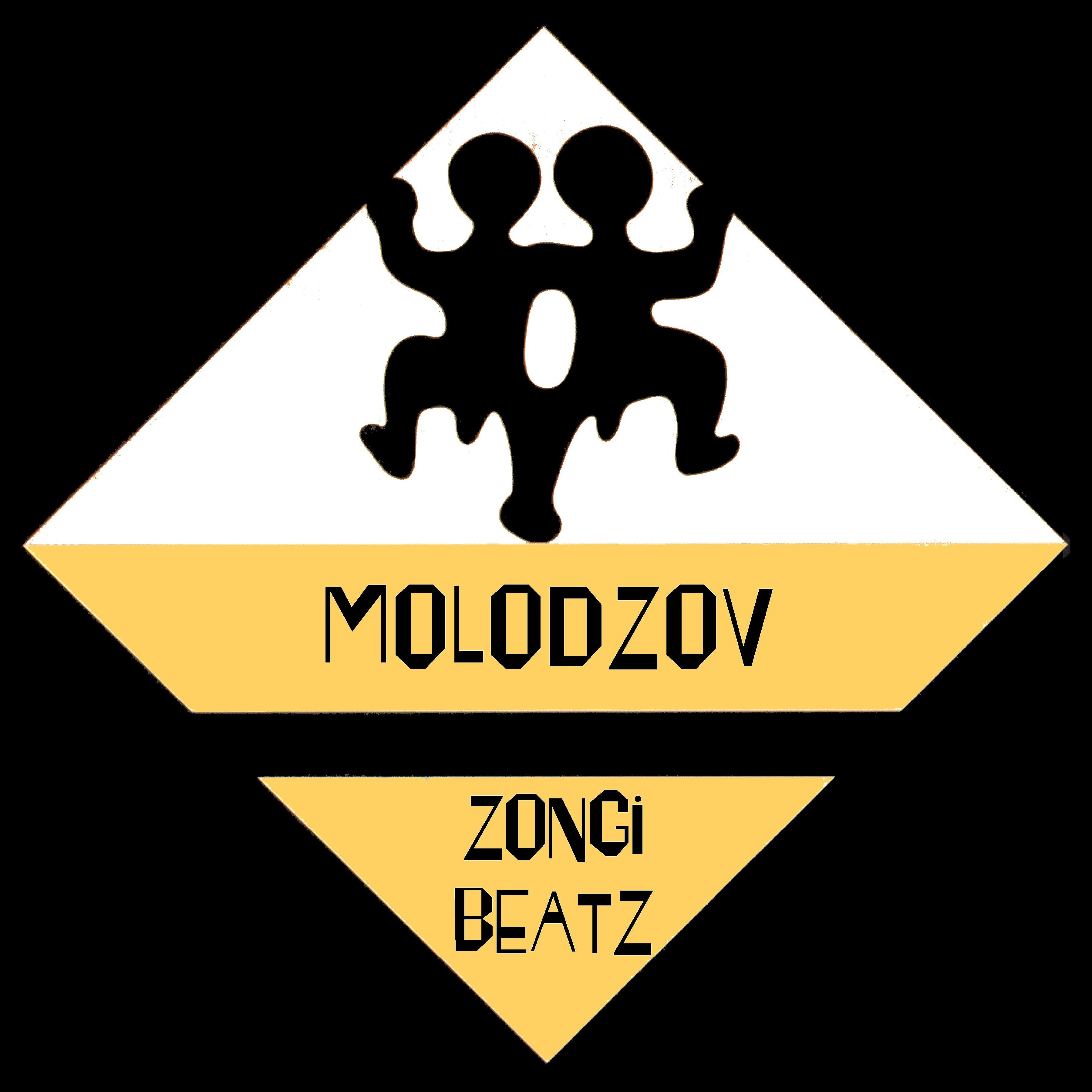 Постер альбома Zongi Beatz