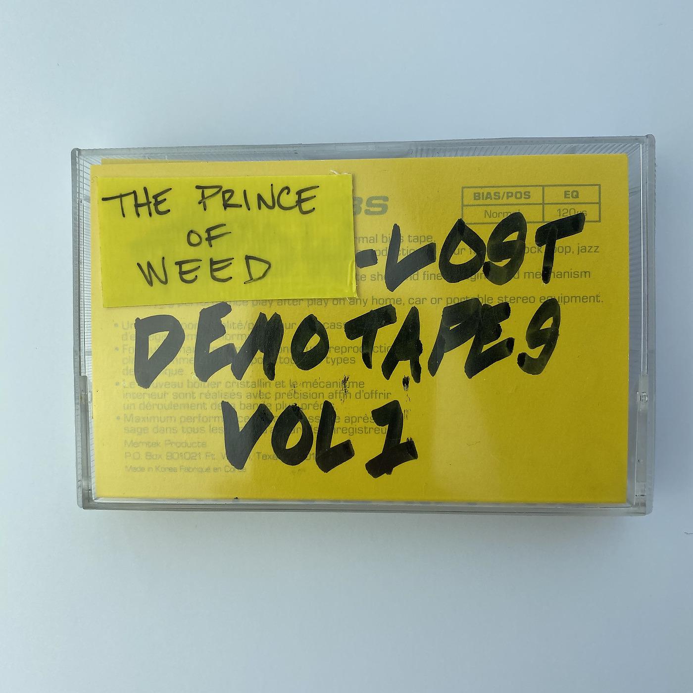 Постер альбома Lost Demo Tapes, Vol. 1