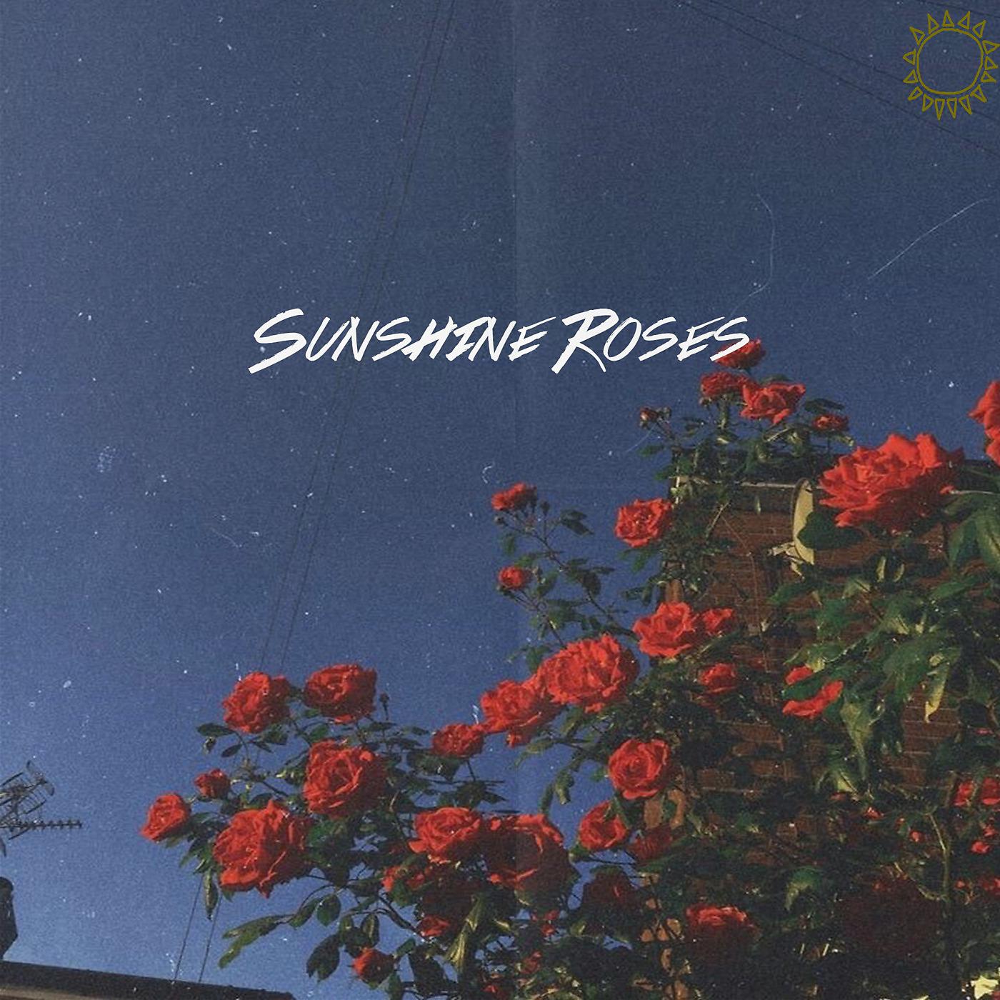Постер альбома Sunshine Roses