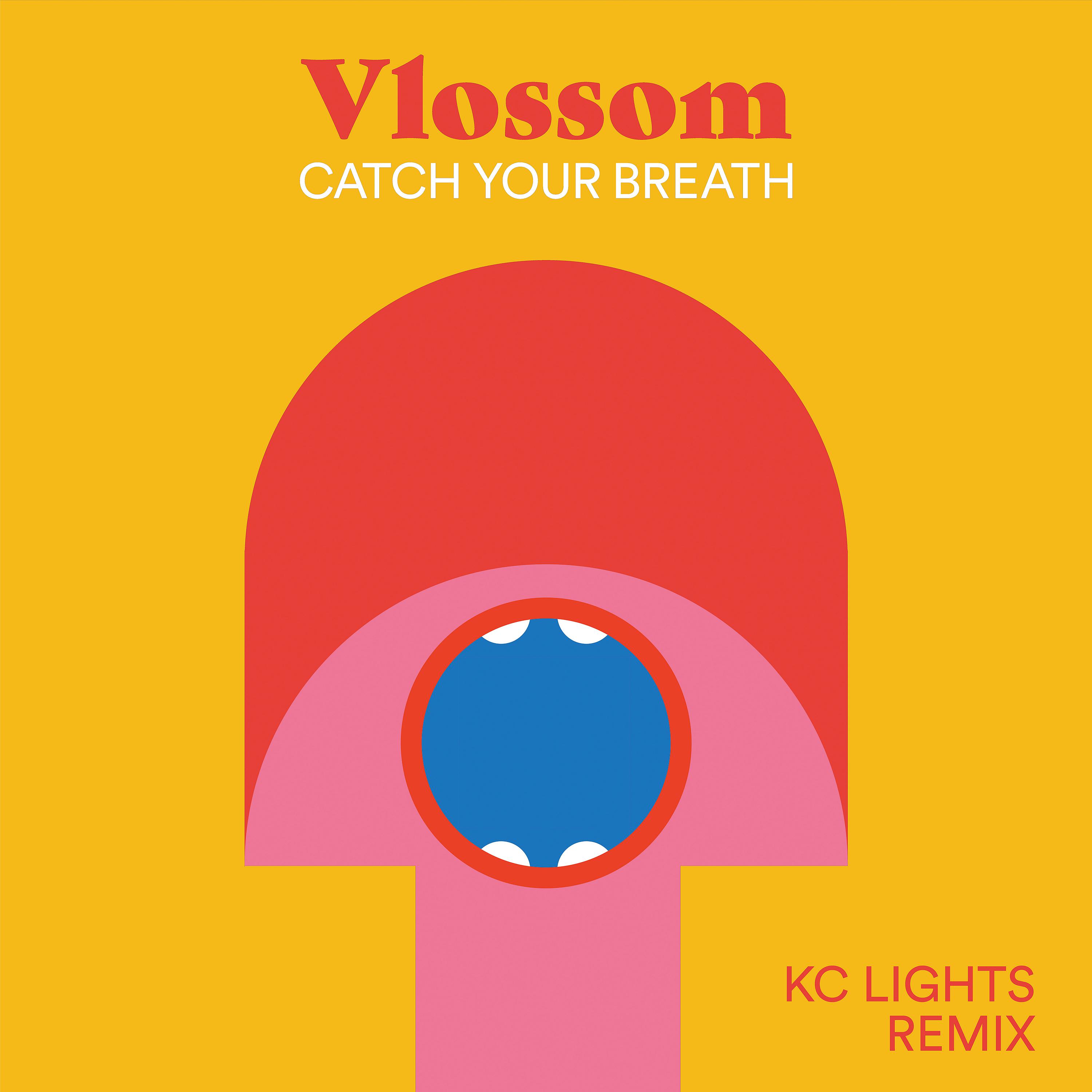 Постер альбома Catch Your Breath (KC Lights Remix)