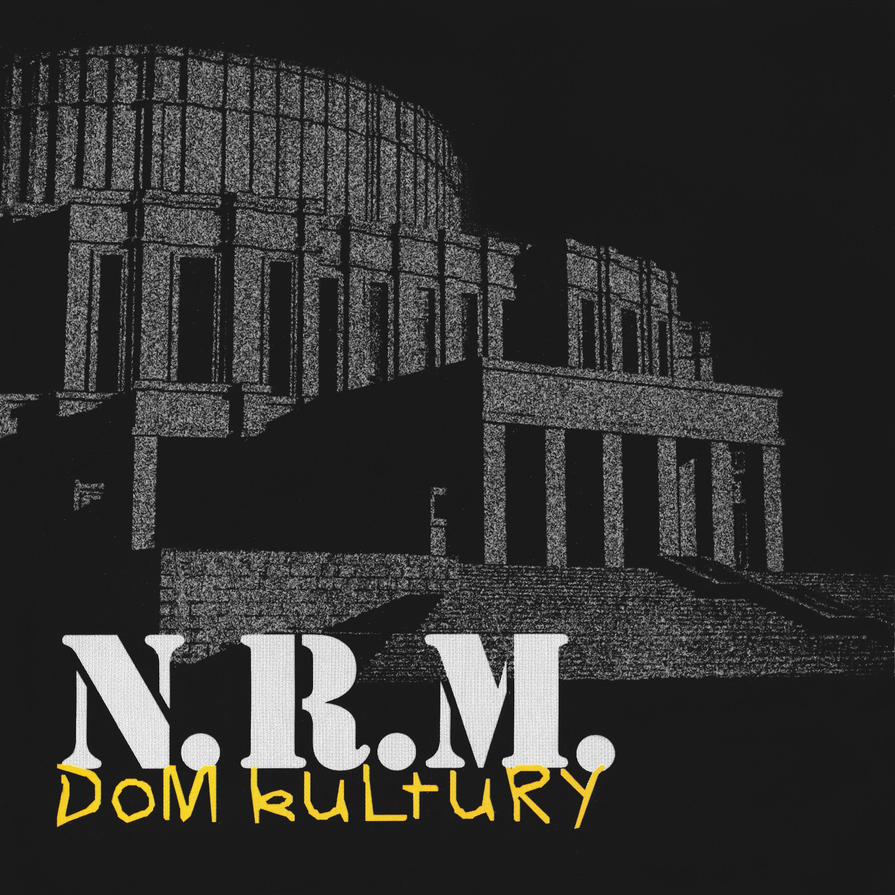 Постер альбома Dom Kultury