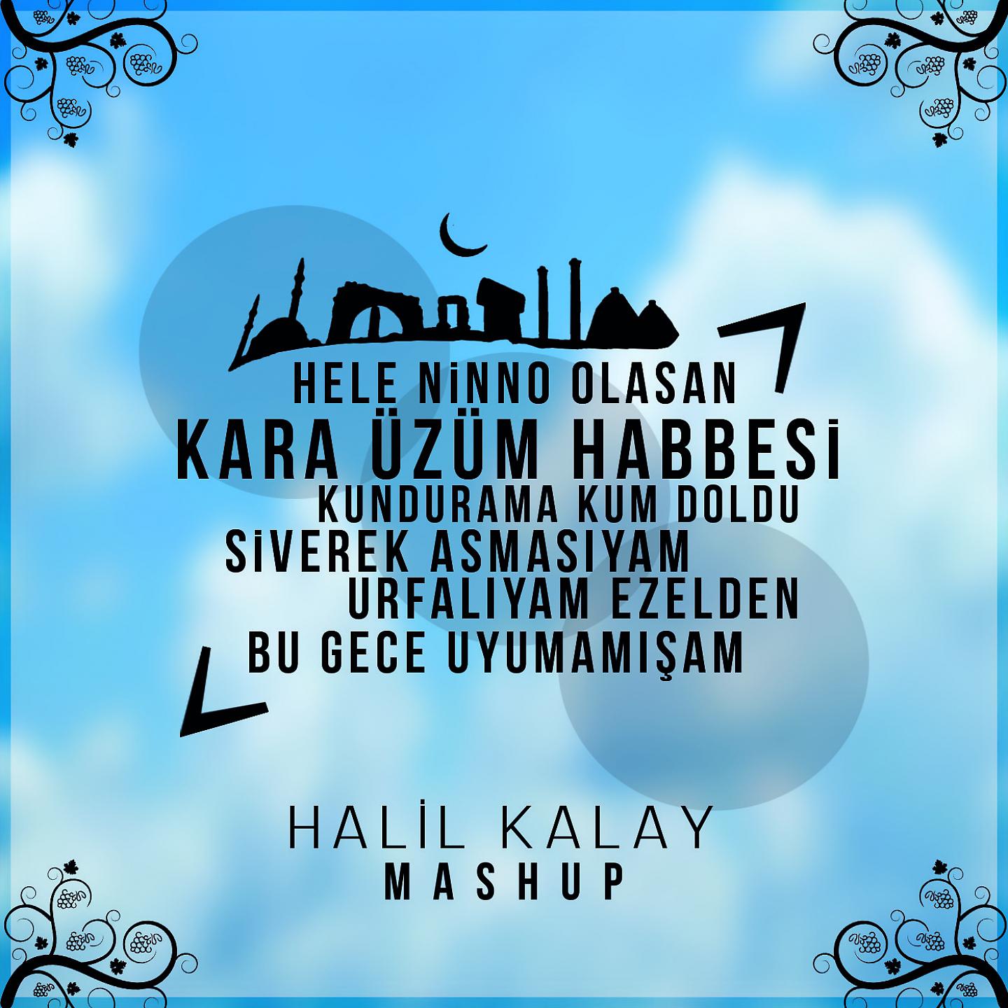 Постер альбома Mashup: Kara Üzüm Habbesi / Kundurama Kum Doldu / Siverek Asmasıyam / Urfalıyam Ezelden / Bu Gece Uyumamışam
