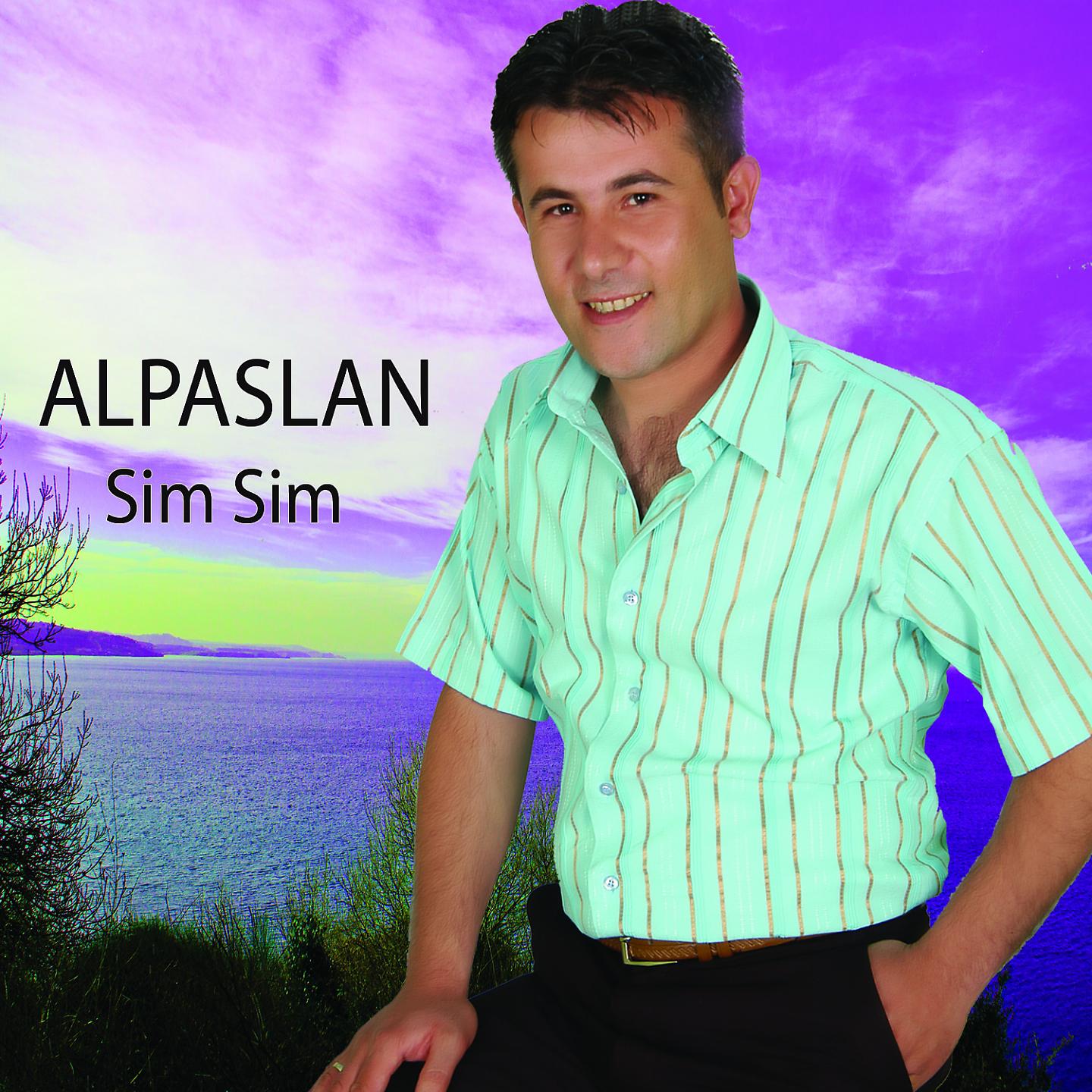 Постер альбома Sim Sim