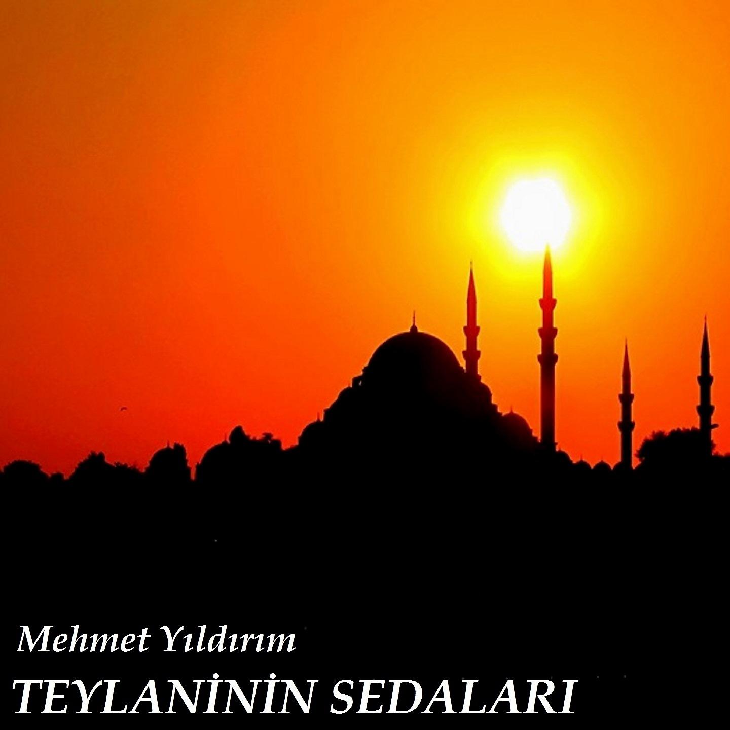 Постер альбома Teylaninin Sedaları