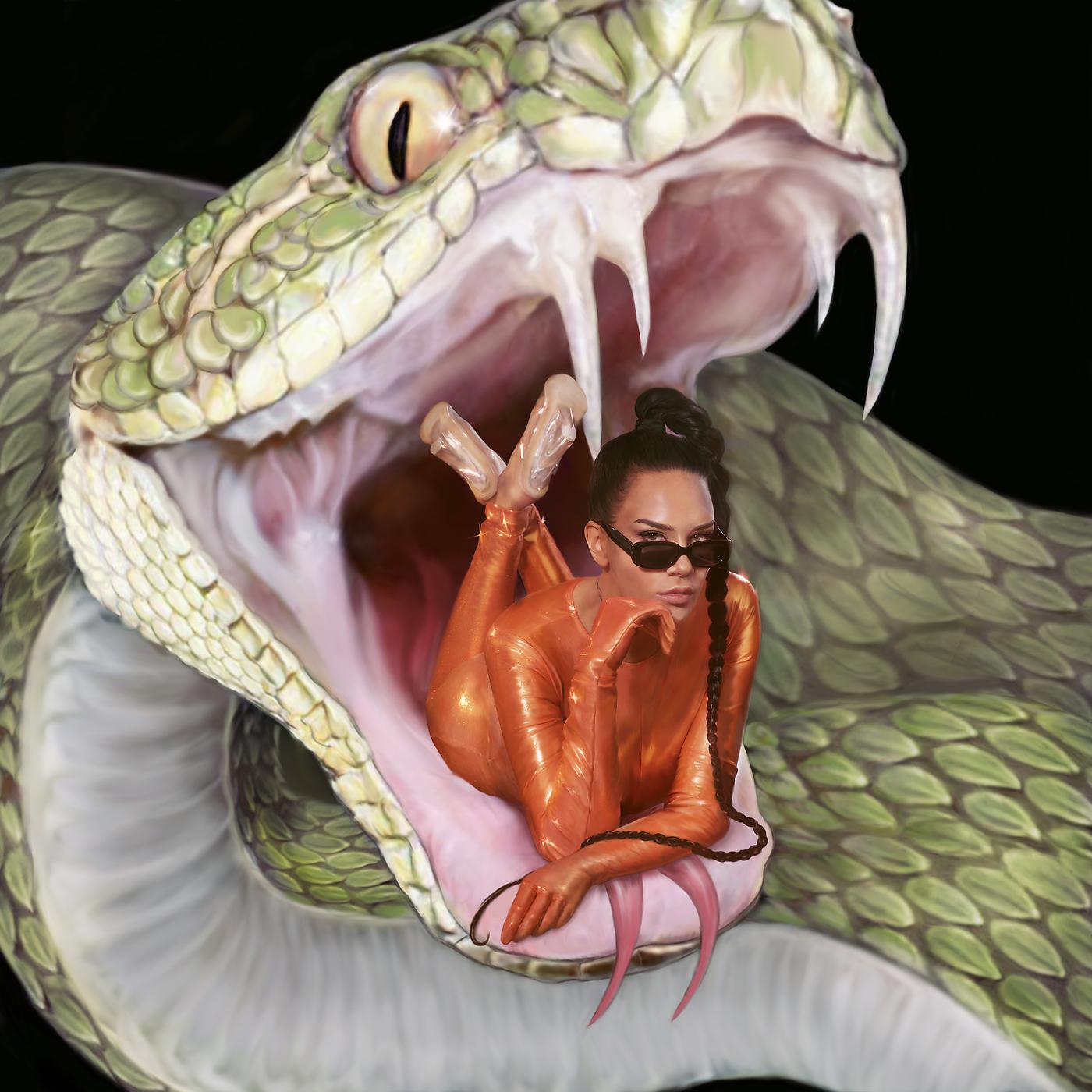 Постер альбома Käärmeet