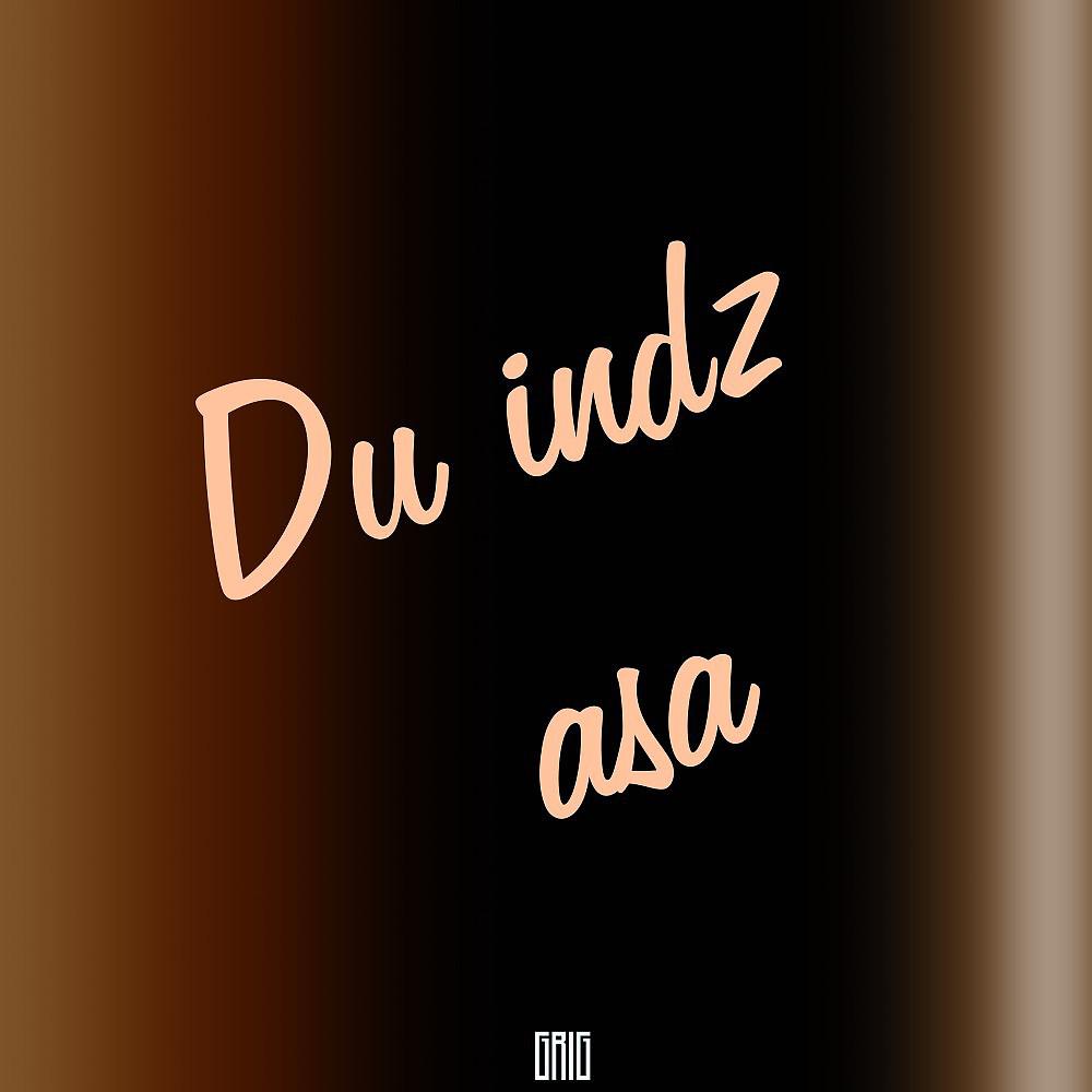 Постер альбома Du Indz Asa