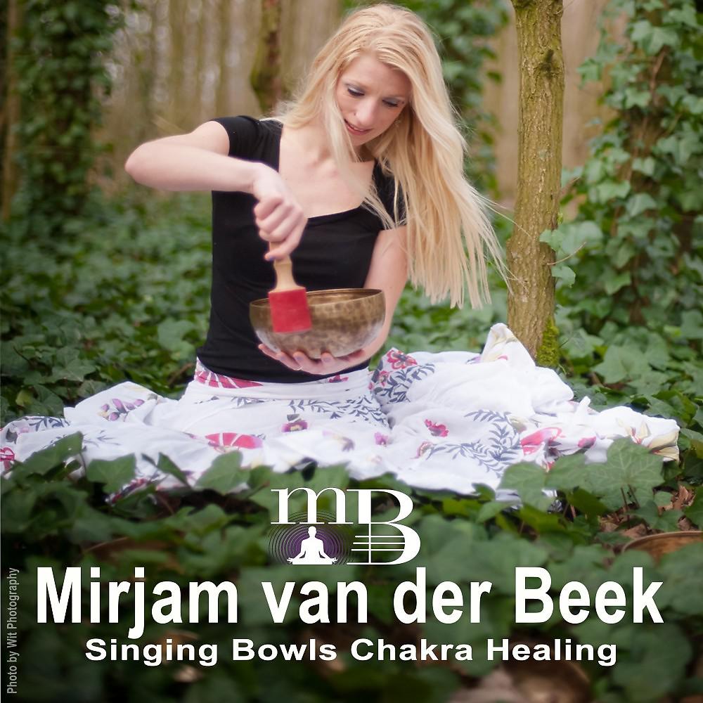 Постер альбома Singing Bowls Chakra Healing