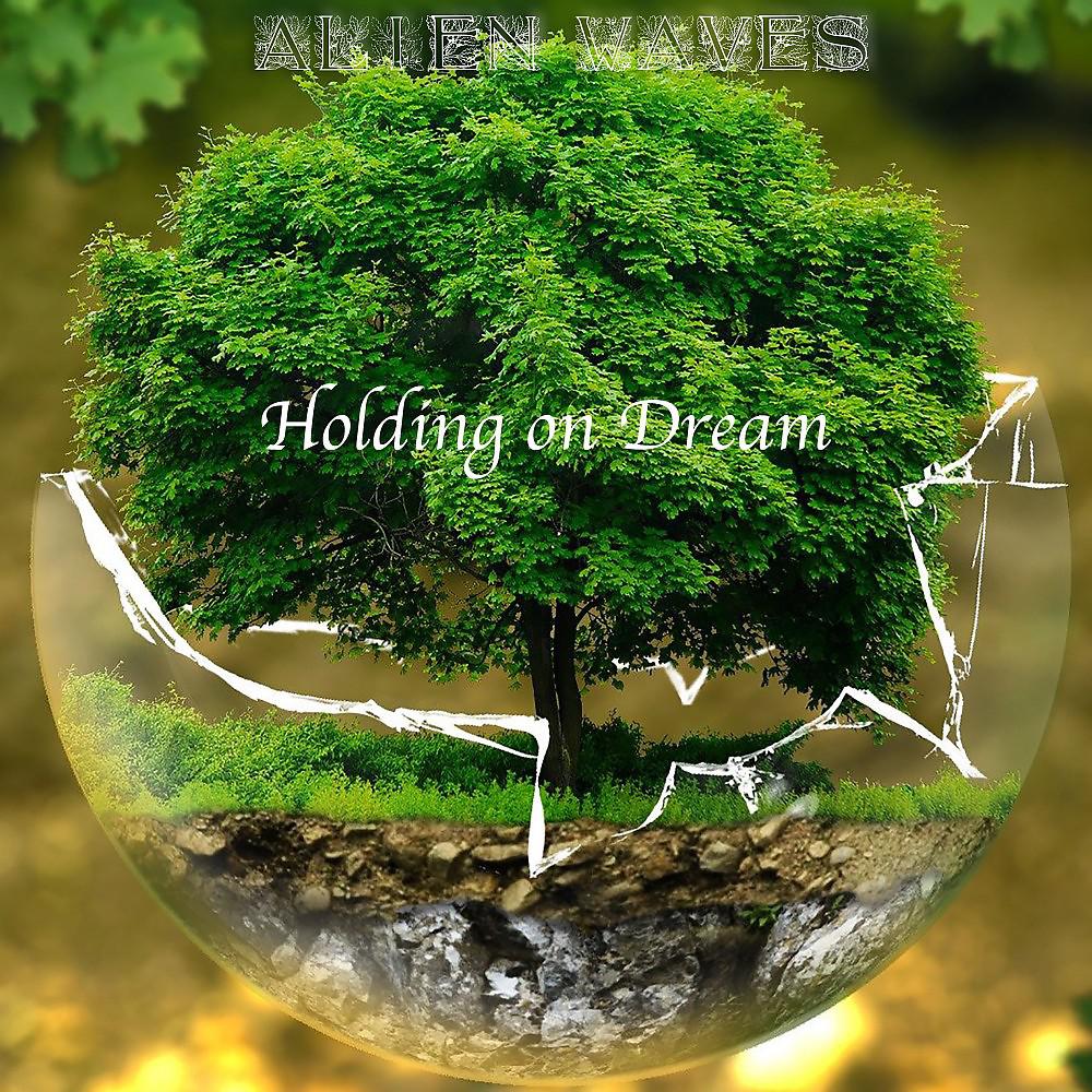 Постер альбома Holding on Dream