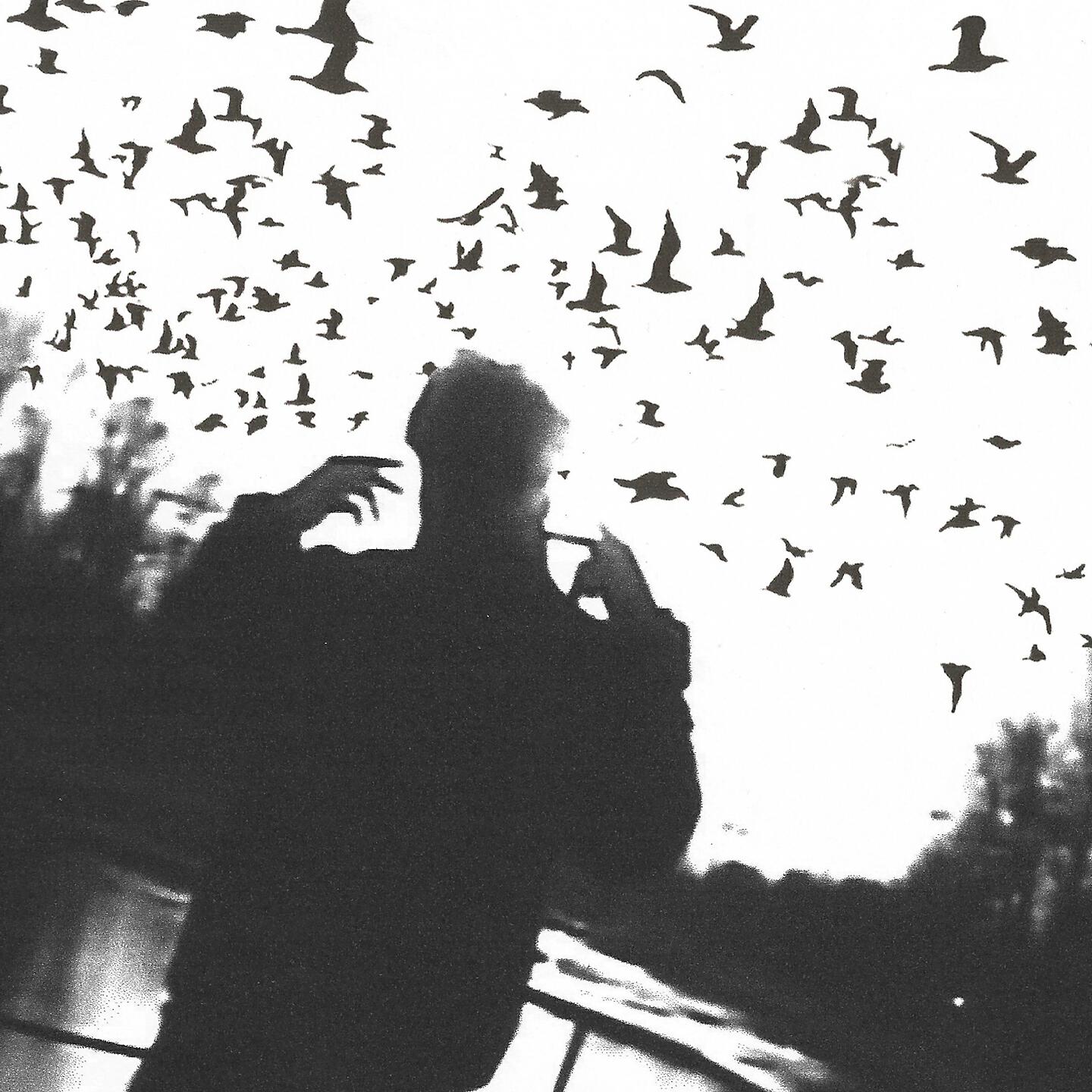 Альбом Птички исполнителя Hugo Loud