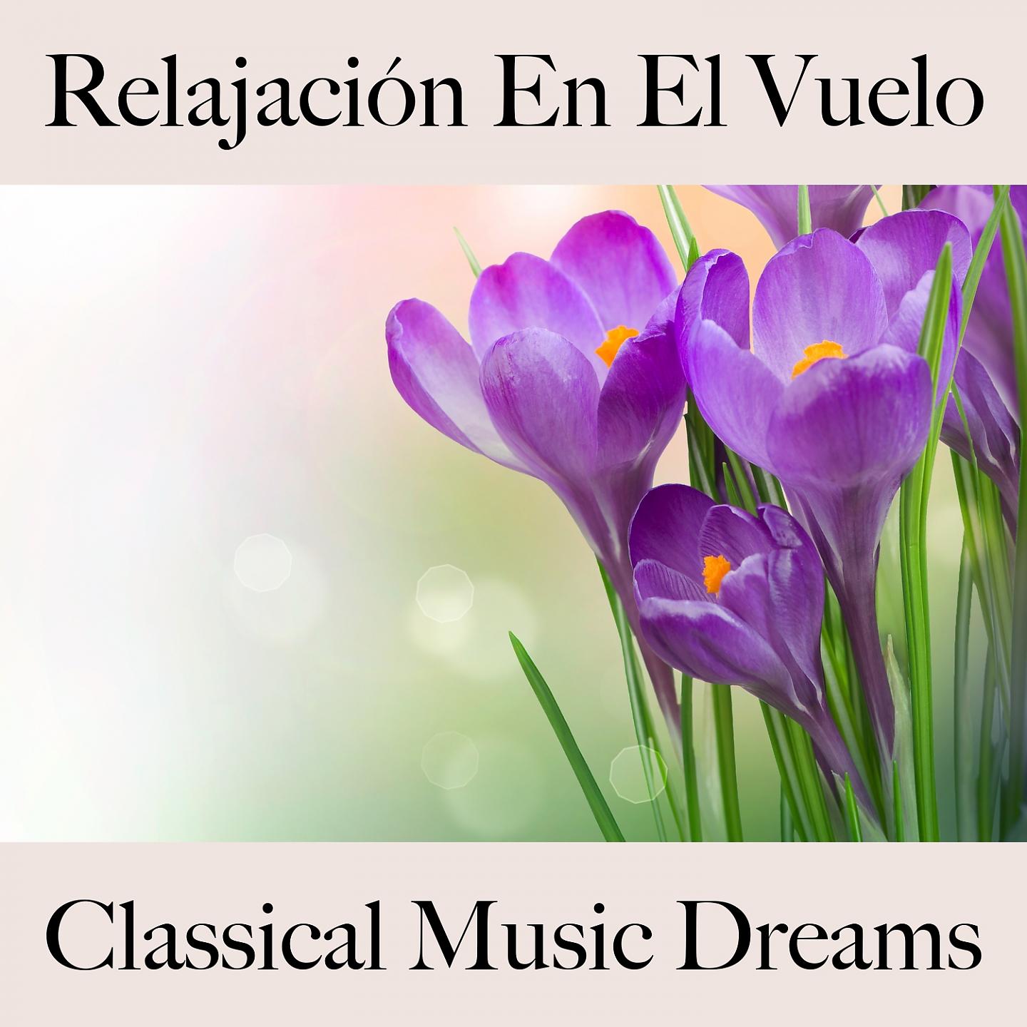 Постер альбома Relajación En El Vuelo: Classical Music Dreams - La Mejor Música Para Relajarse
