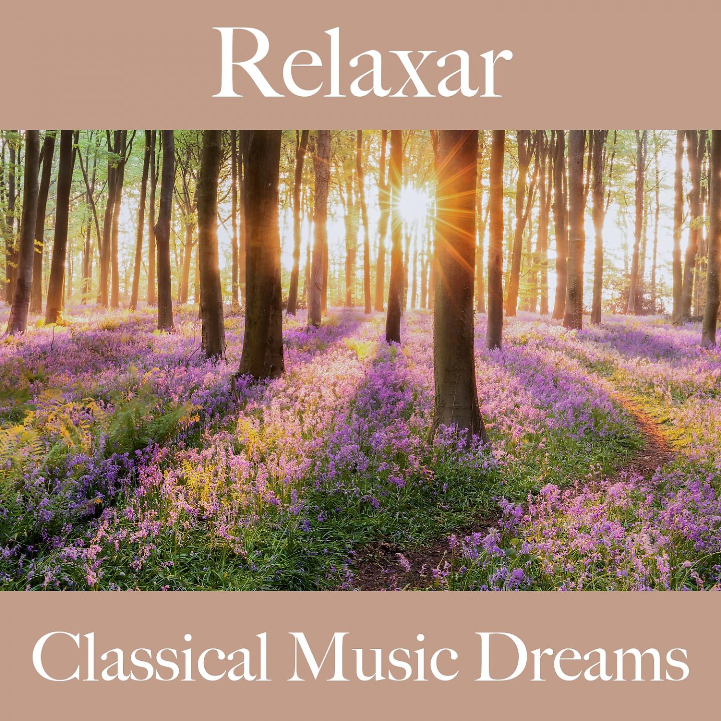 Постер альбома Relaxar: Classical Music Dreams - A Melhor Música Para Relaxar