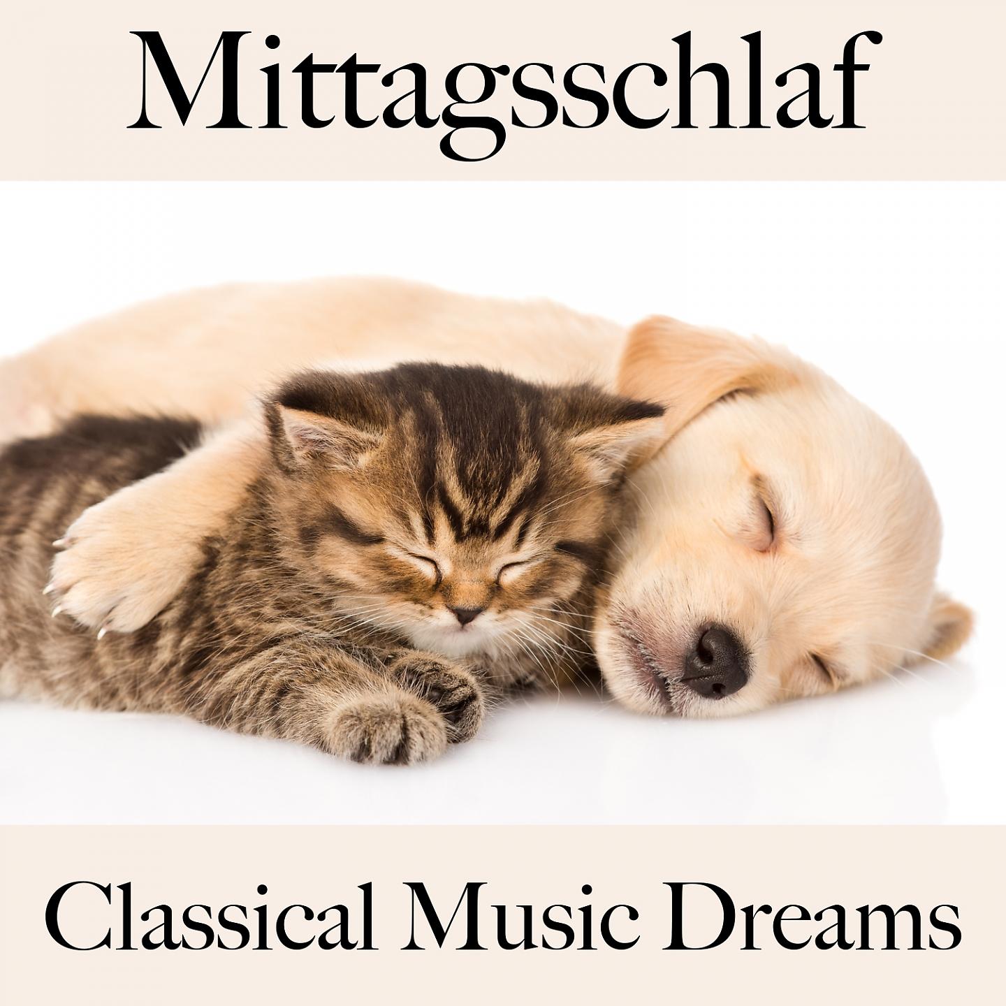 Постер альбома Mittagsschlaf: Classical Music Dreams - Die Beste Musik Zum Entspannen