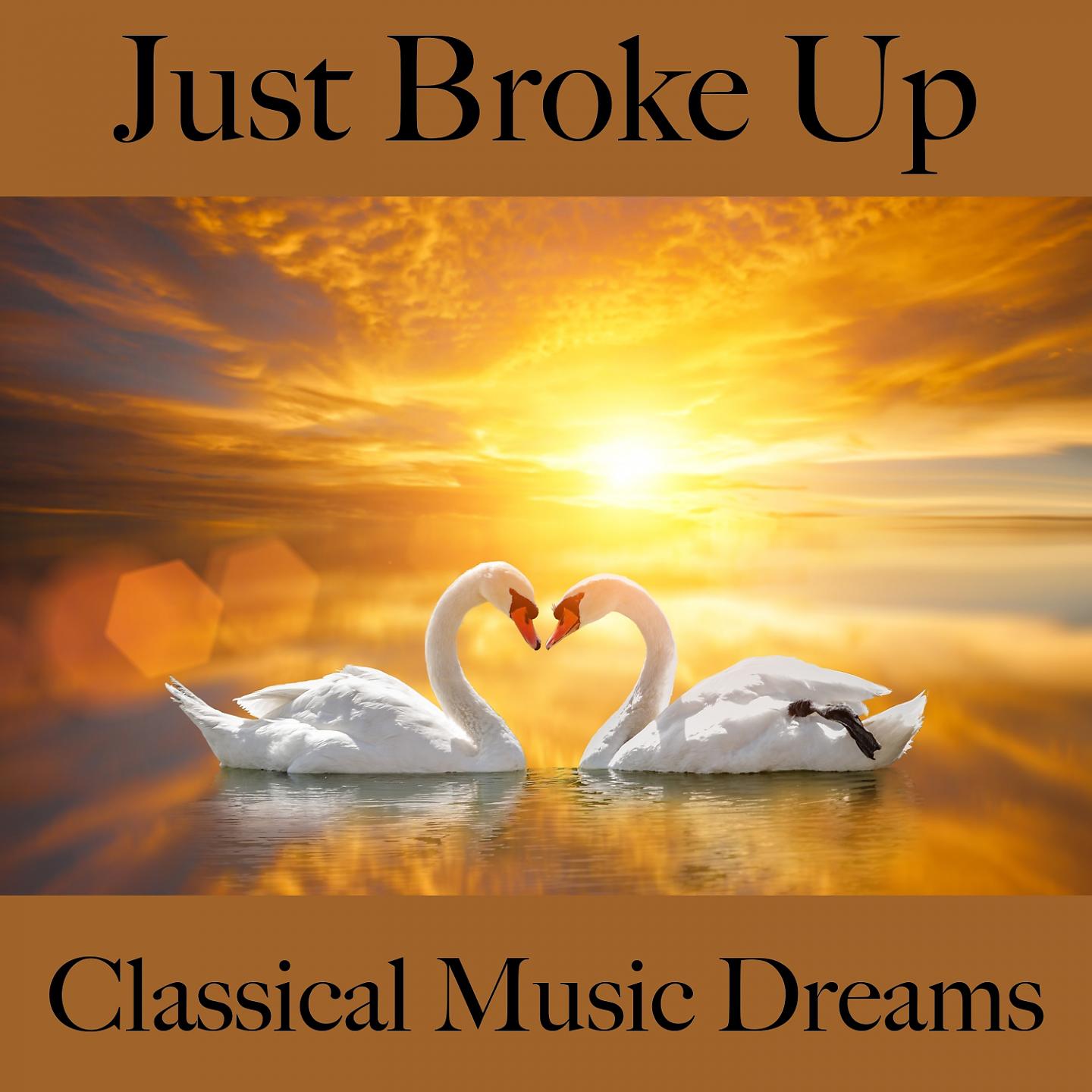 Постер альбома Just Broke Up: Classical Music Dreams - The Best Music For Feeling Better