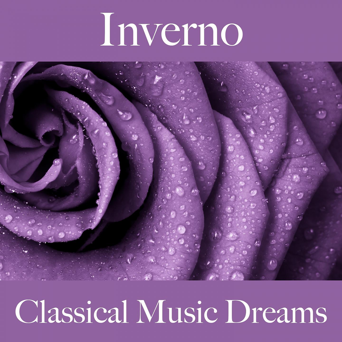 Постер альбома Inverno: Classical Music Dreams - A Melhor Música Para Relaxar