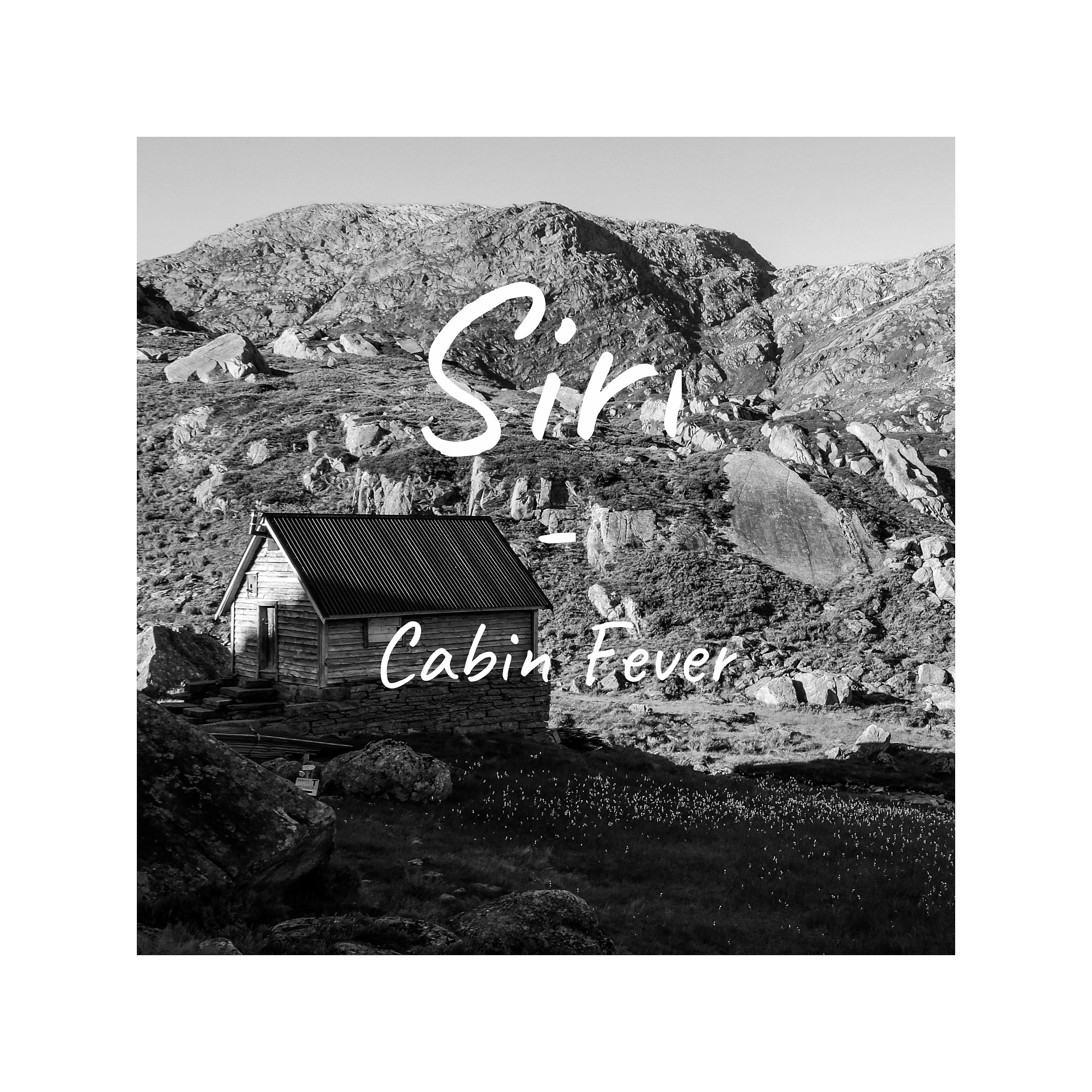 Постер альбома Cabin Fever