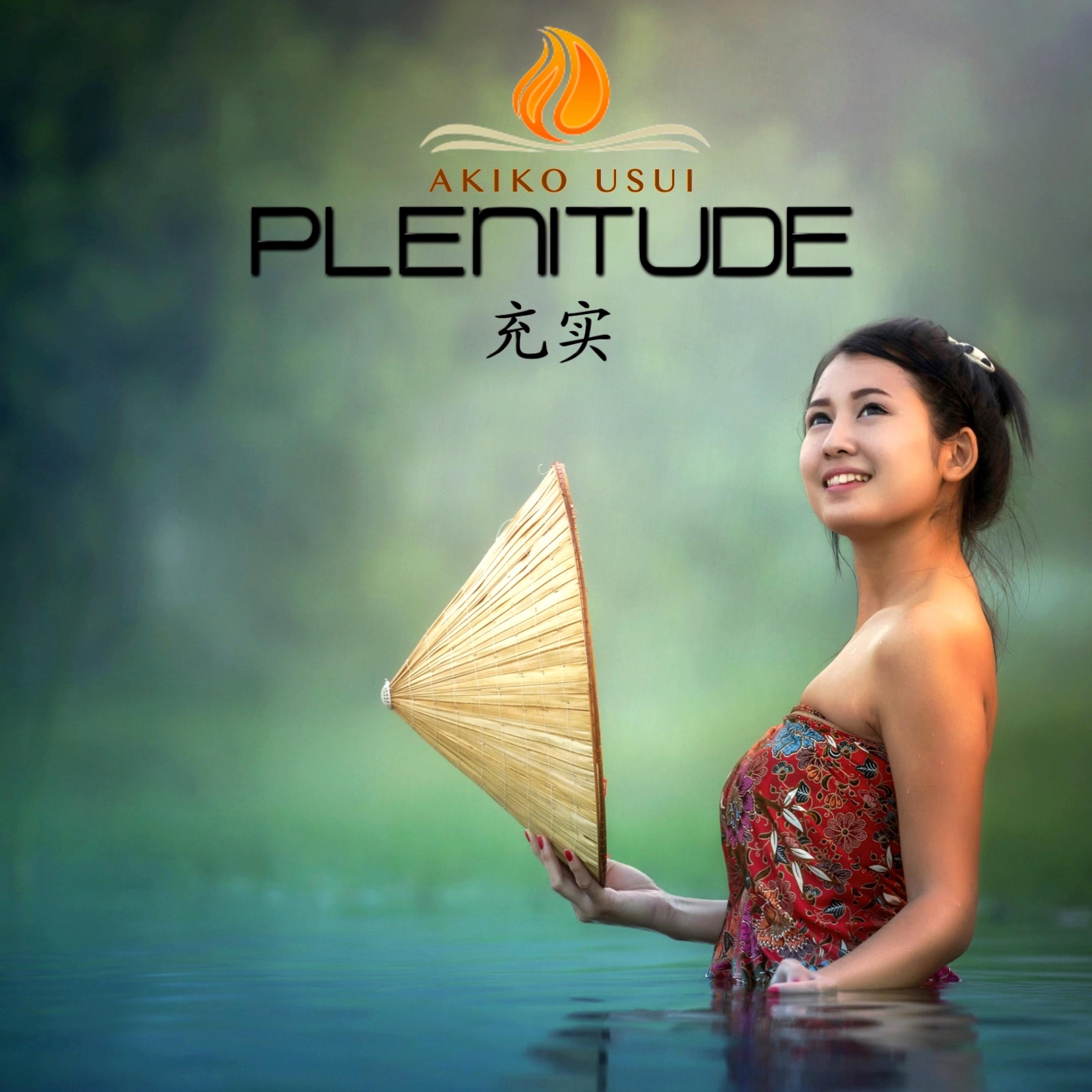 Постер альбома Plenitude