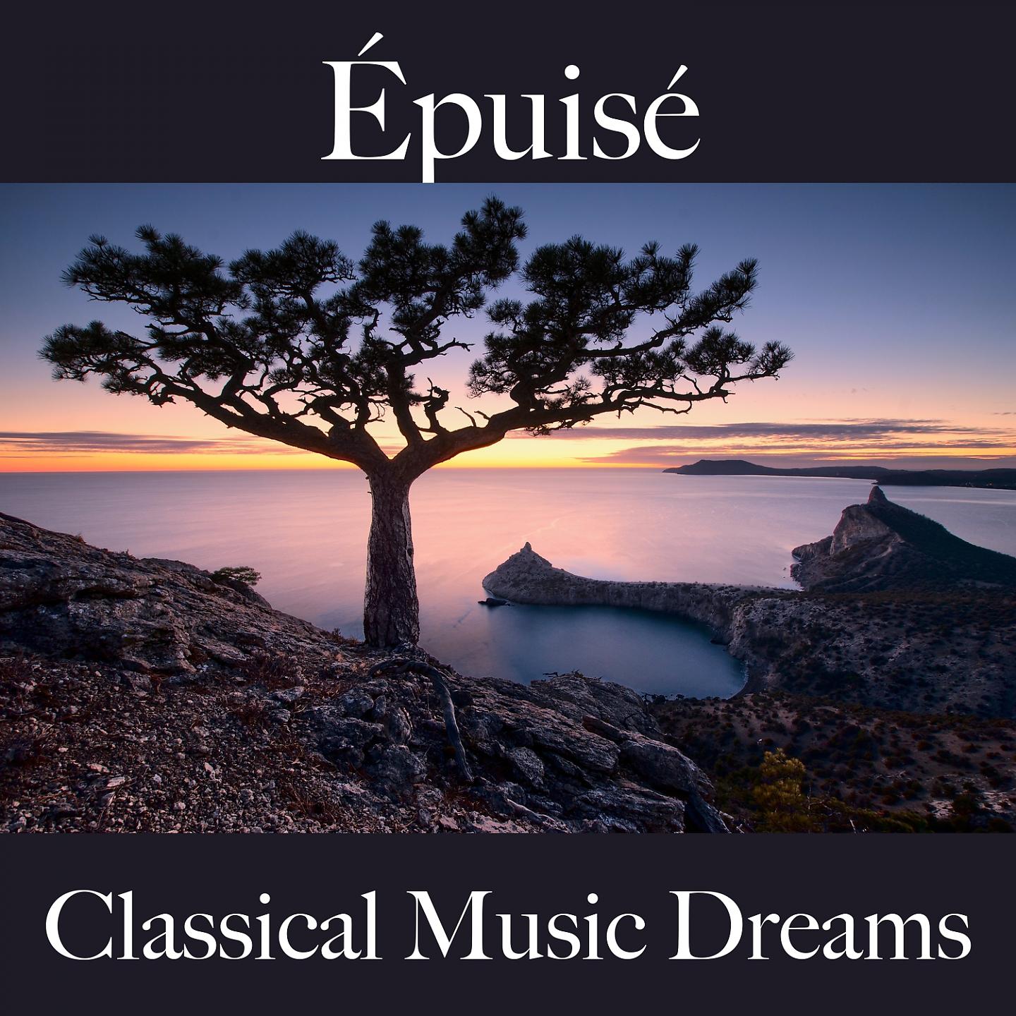 Постер альбома Épuisé: Classical Music Dreams - La Meilleure Musique Pour Se Sentir Mieux