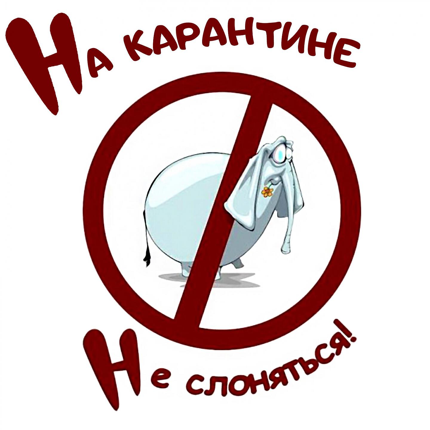 ADAM - Файно