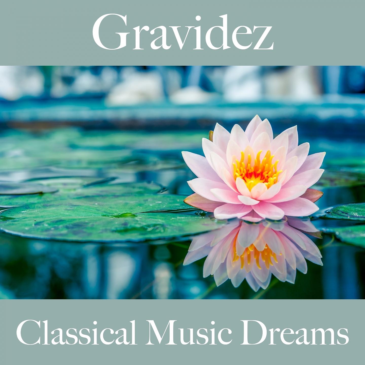 Постер альбома Gravidez: Classical Music Dreams - A Melhor Música Para Relaxar