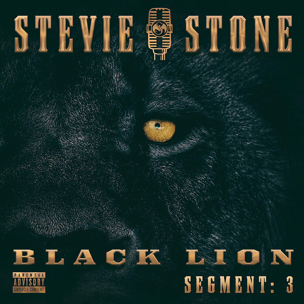 Stevie Stone - Selfish