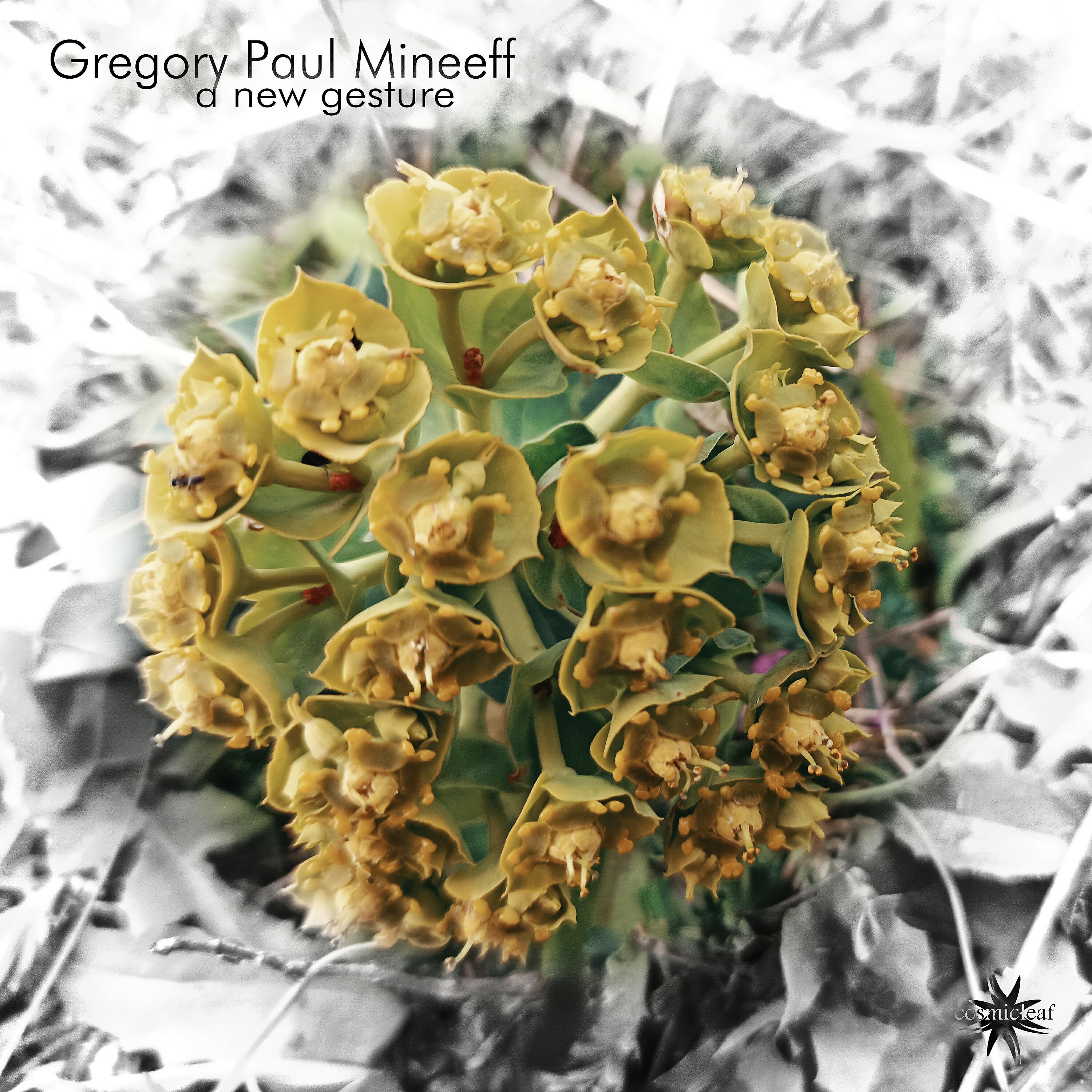 Gregory Paul Mineeff - A New Gesture (Eguana Remix)
