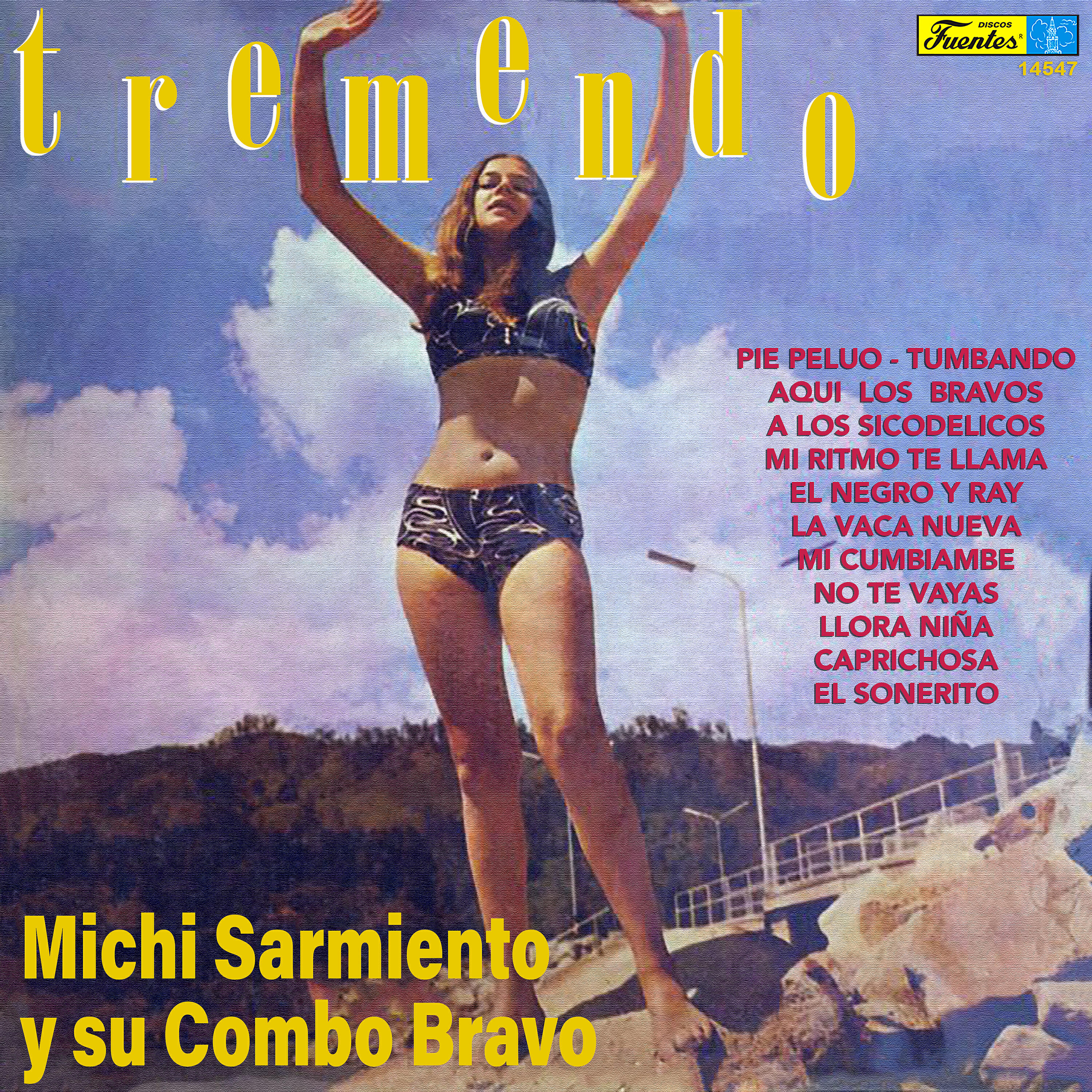 Michi Sarmiento y su Combo Bravo - Aquí los Bravos