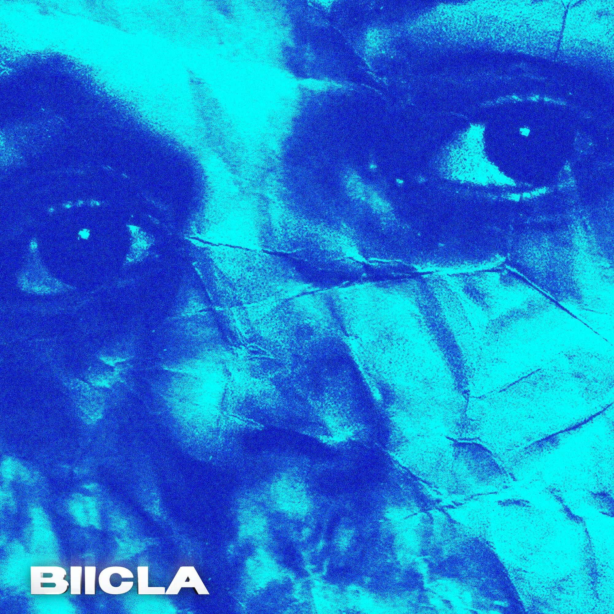 Biicla - Heart & Stay