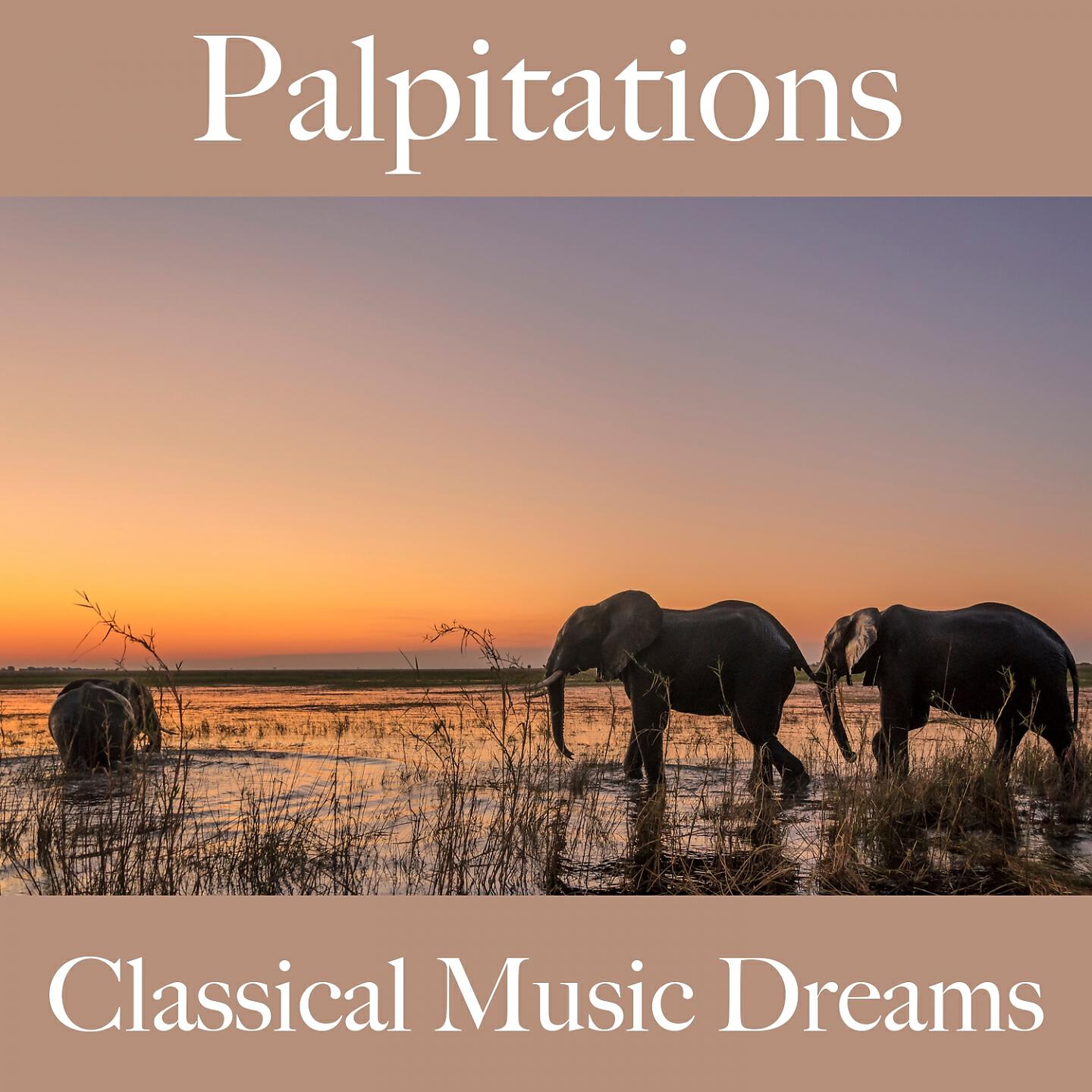 Chicago Symphony Orchestra - The Song of the Earth: VI. The Farewell