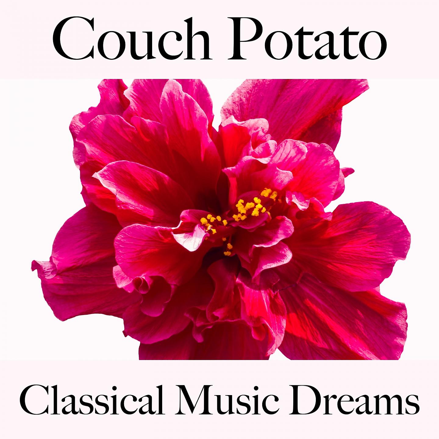 Постер альбома Couch Potato: Classical Music Dreams - La Meilleure Musique Pour Se Détendre