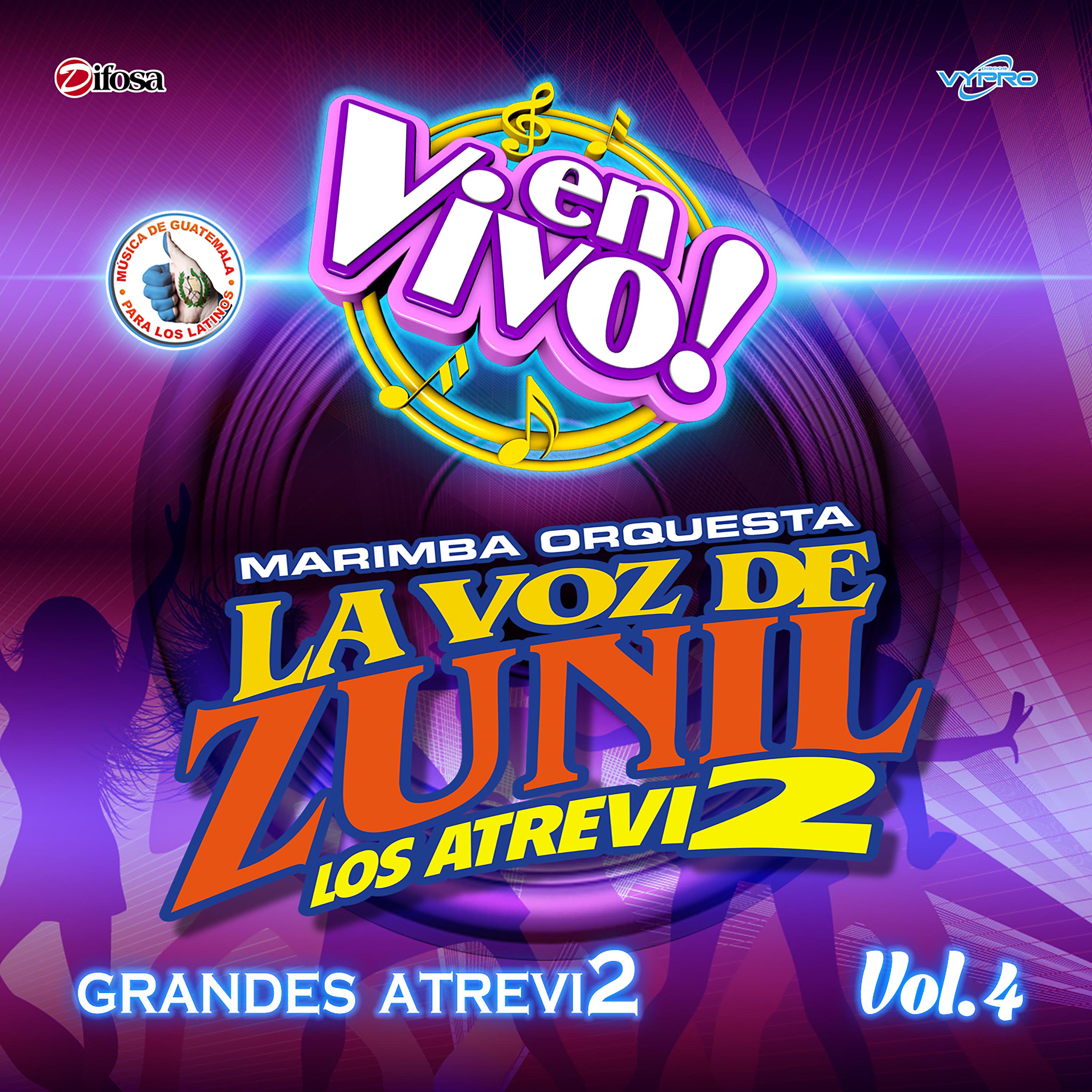 Постер альбома Grandes Atrevi2 Vol. 4. Música de Guatemala para los Latinos (En Vivo)