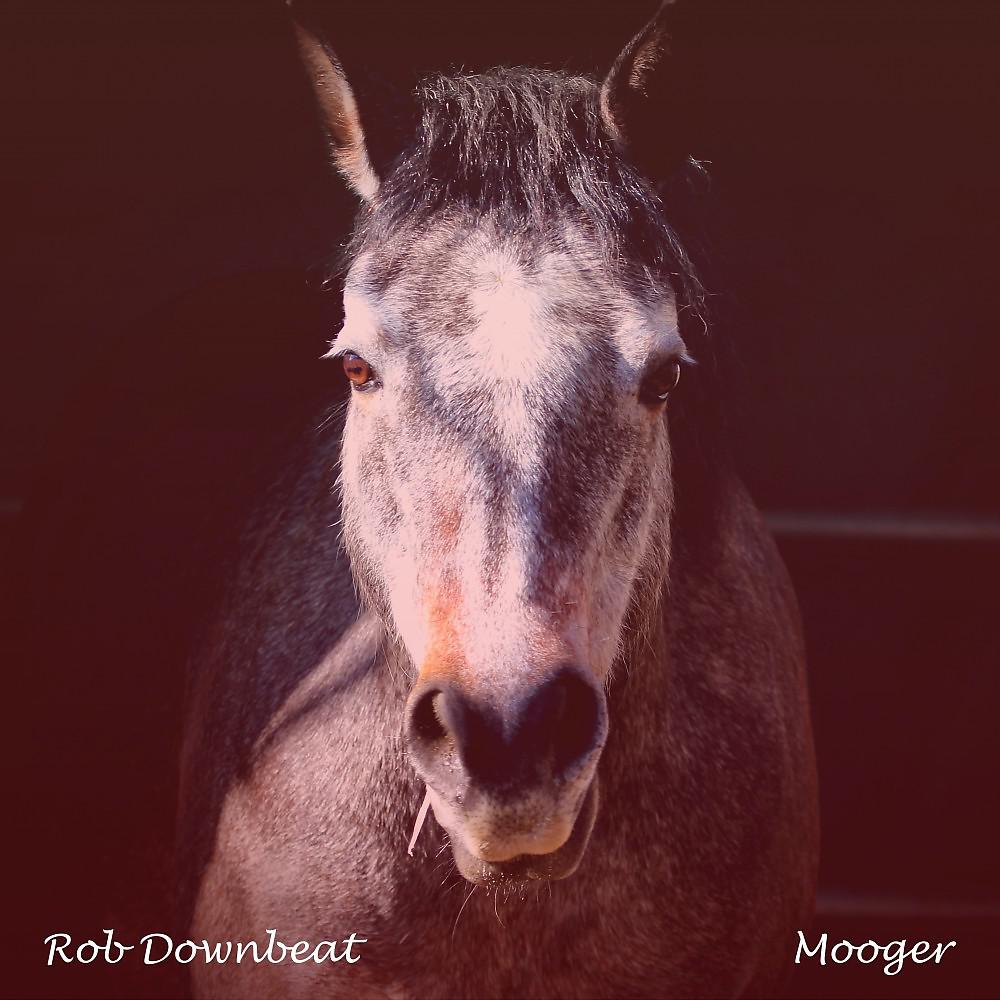 Постер альбома Mooger (Radio Edit)