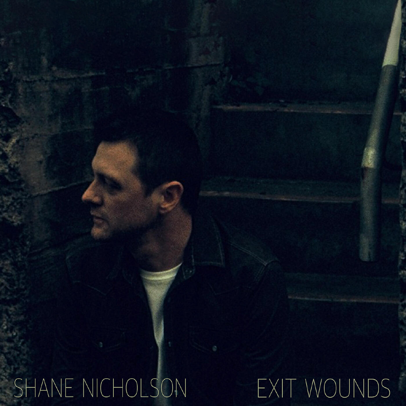 Shane Nicholson - You Belong In A Song