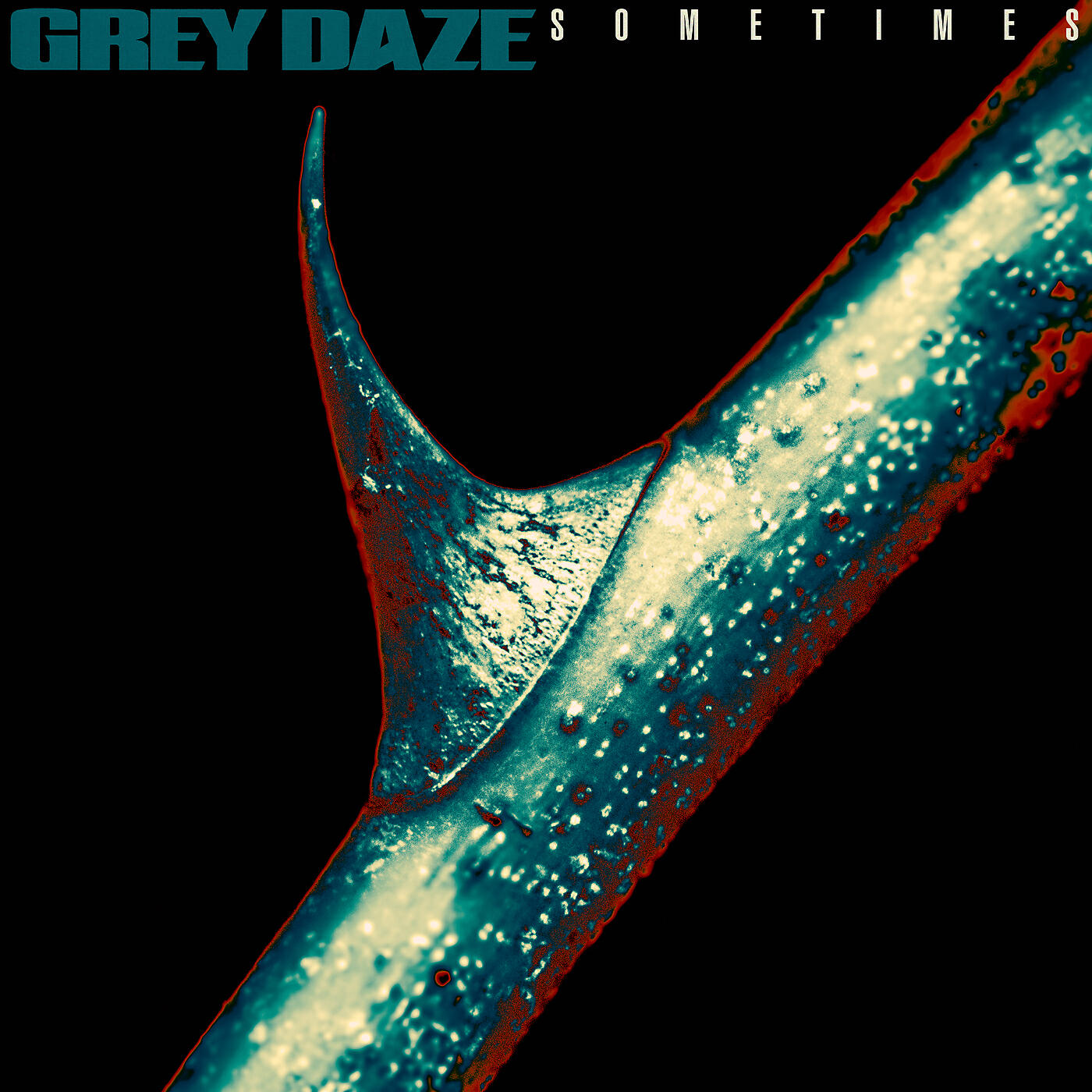 Grey Daze - What's In The Eye