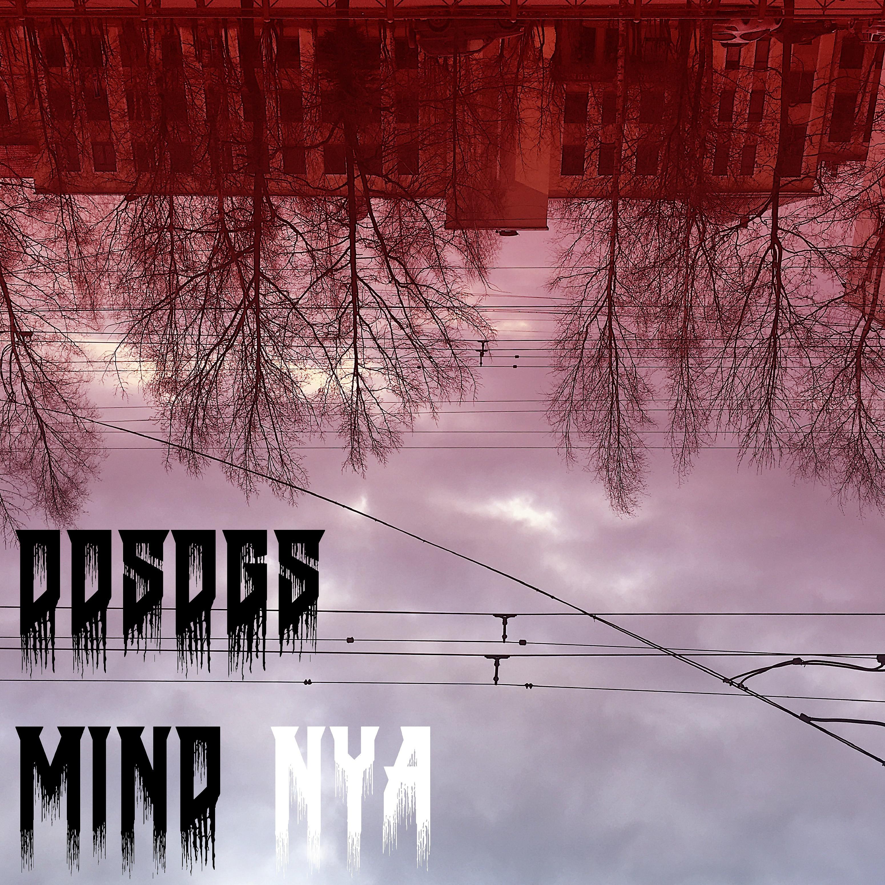 Постер альбома Mind (Nya)