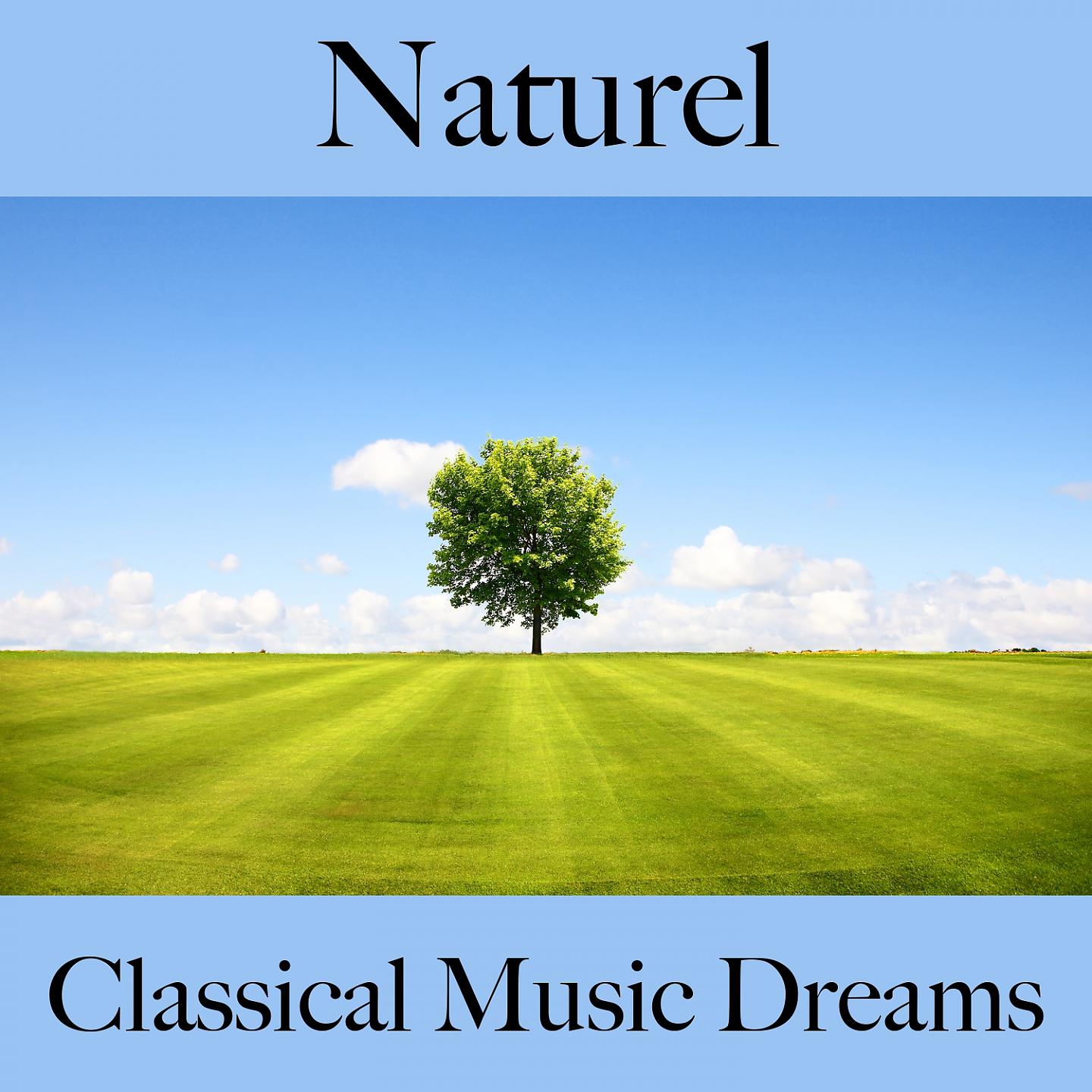 Постер альбома Naturel: Classical Music Dreams - La Meilleure Musique Pour Se Détendre