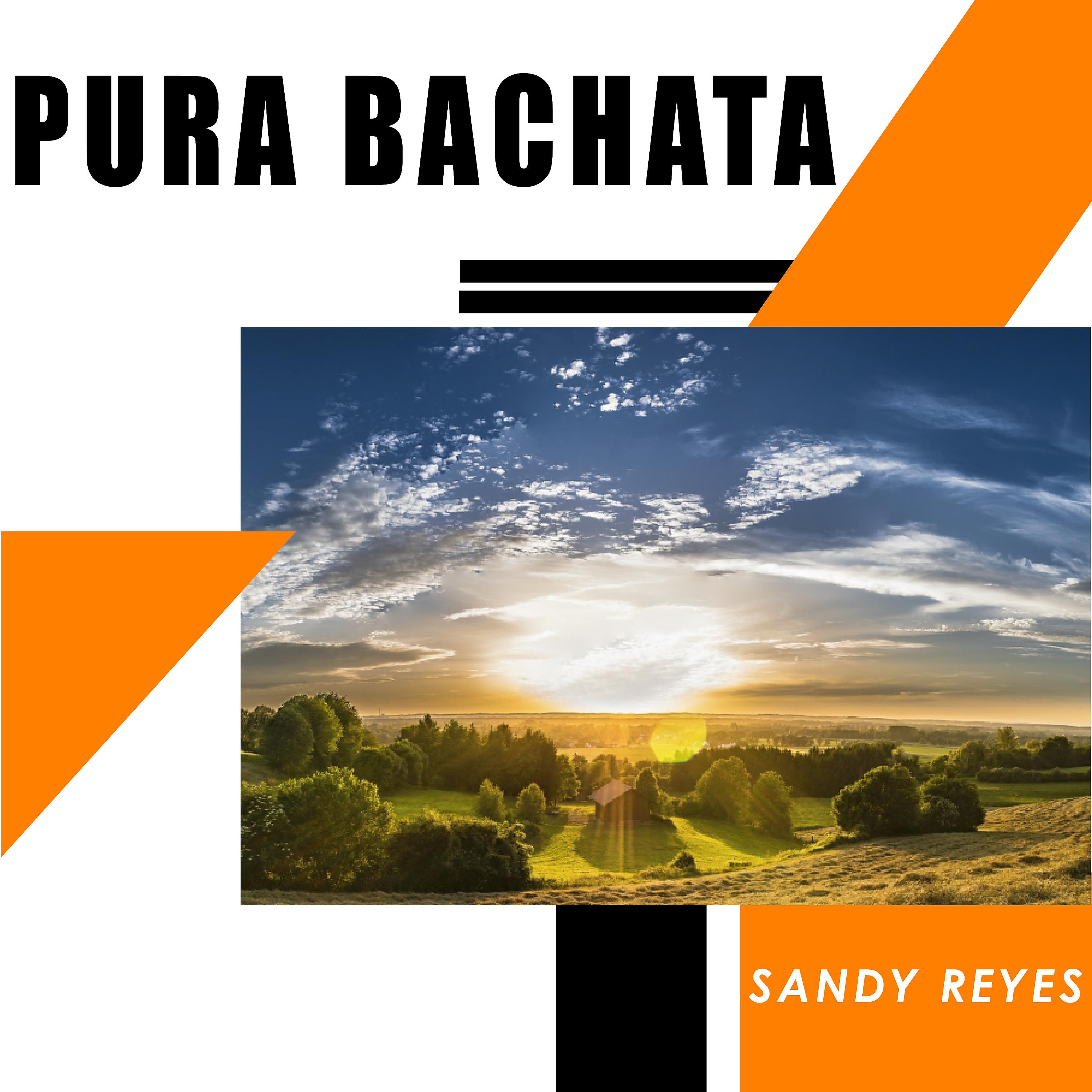 Постер альбома Pura Bachata