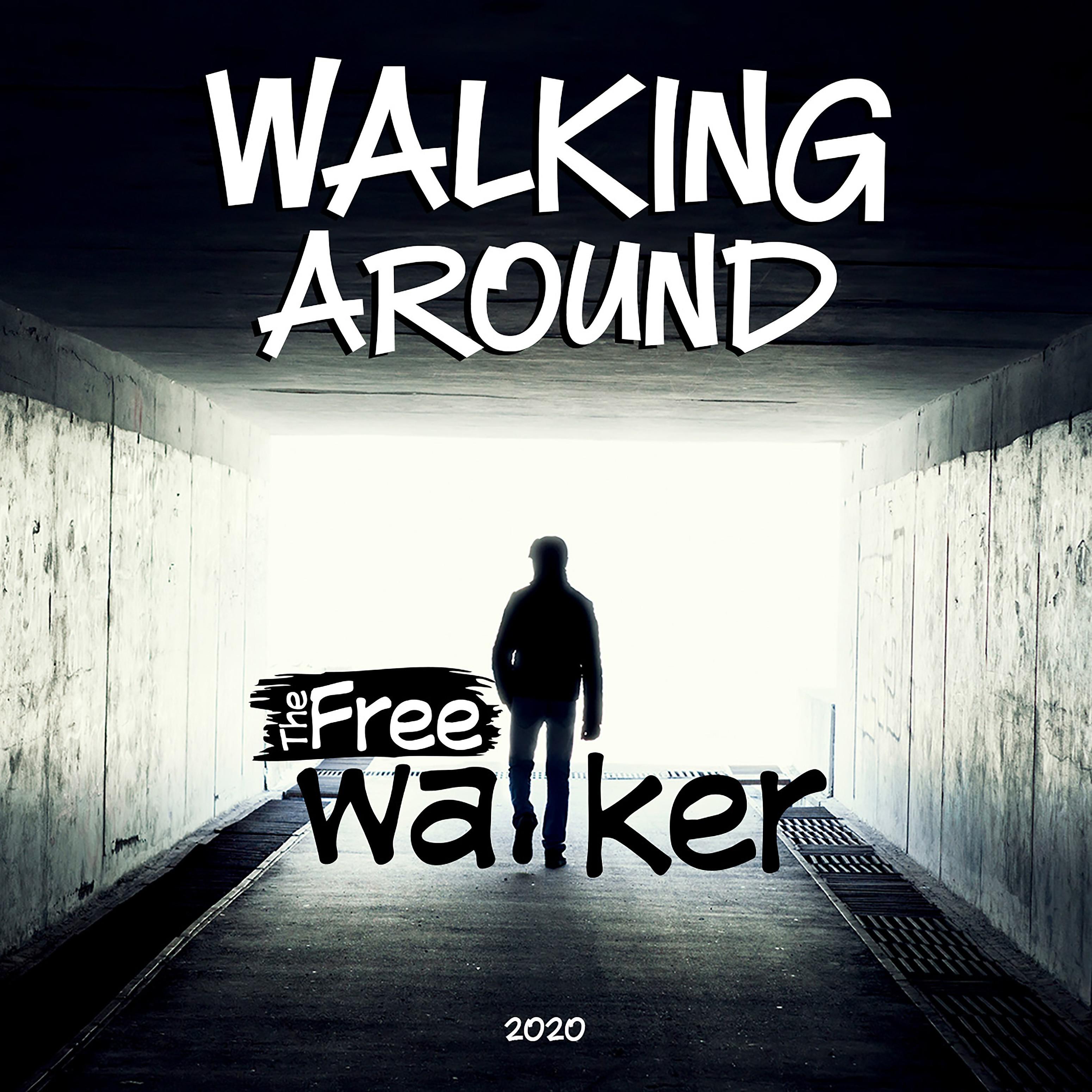 Постер альбома Walking Around
