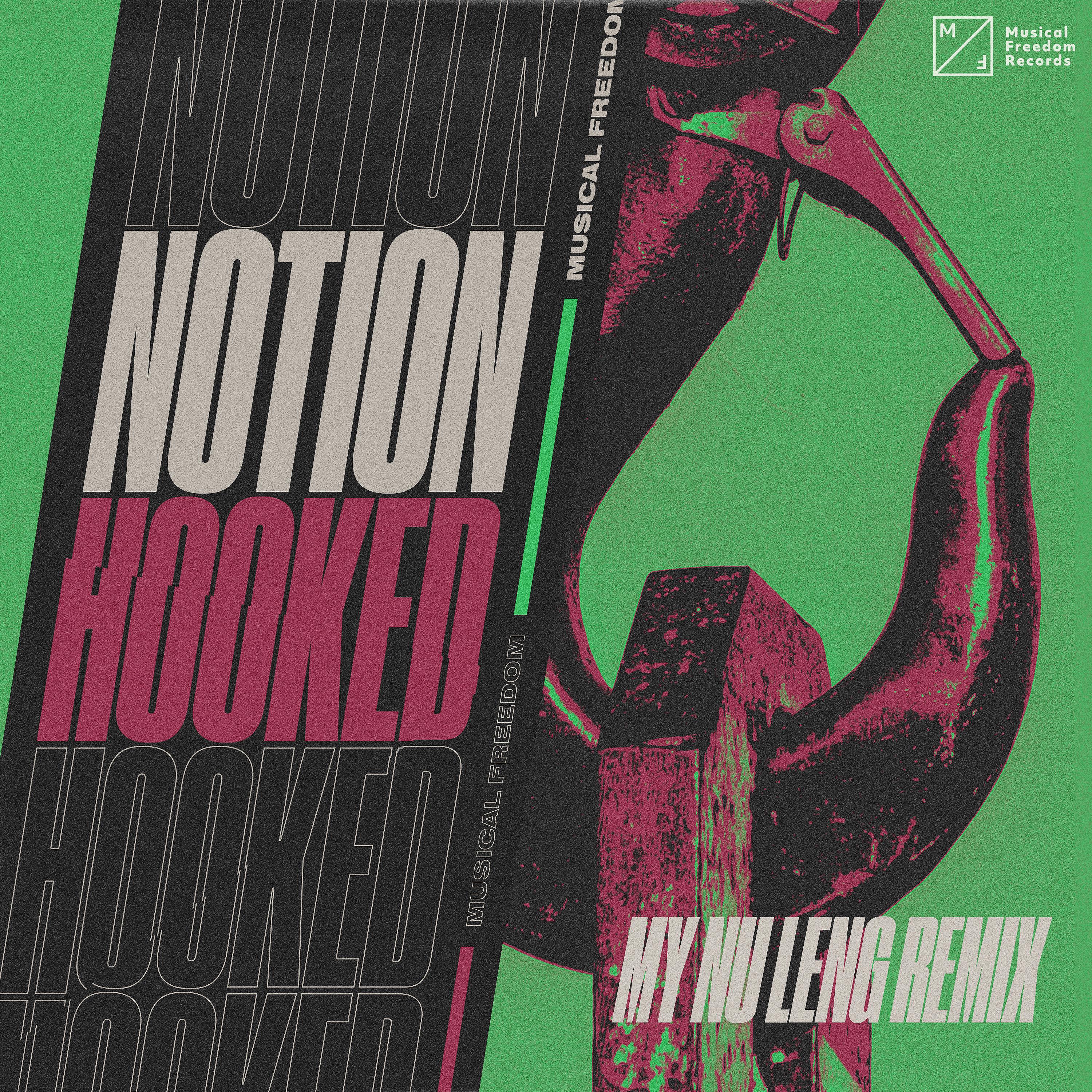 Постер альбома Hooked (My Nu Leng Remix)