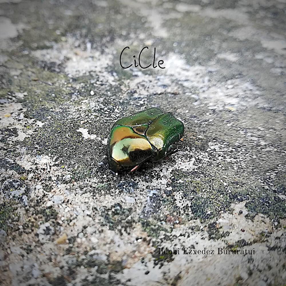 CiCle - Oxi