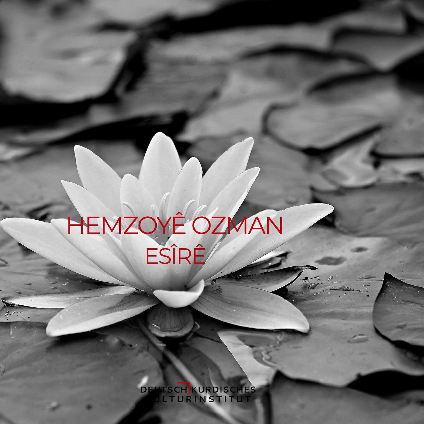 HEMZOYÊ OZMAN - Heso
