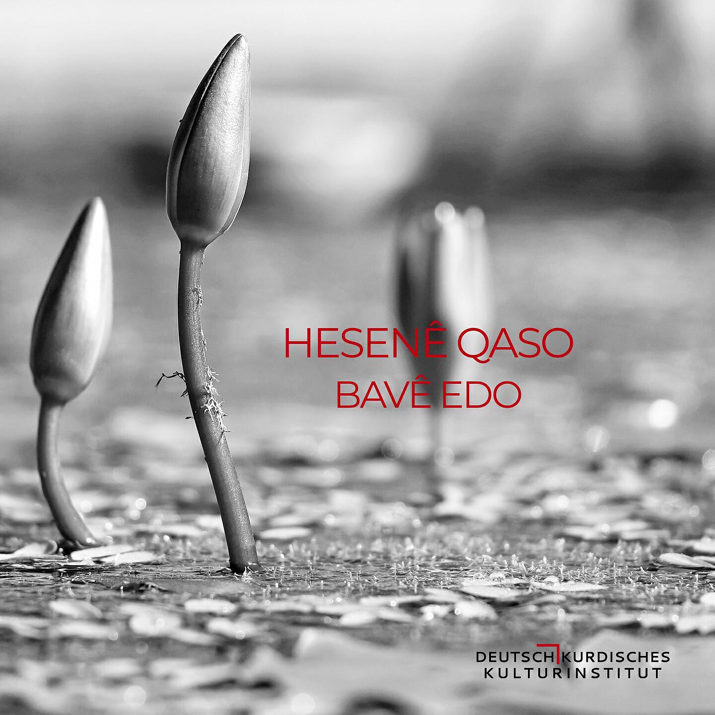 HESENÊ QASO - Nok Şewitî