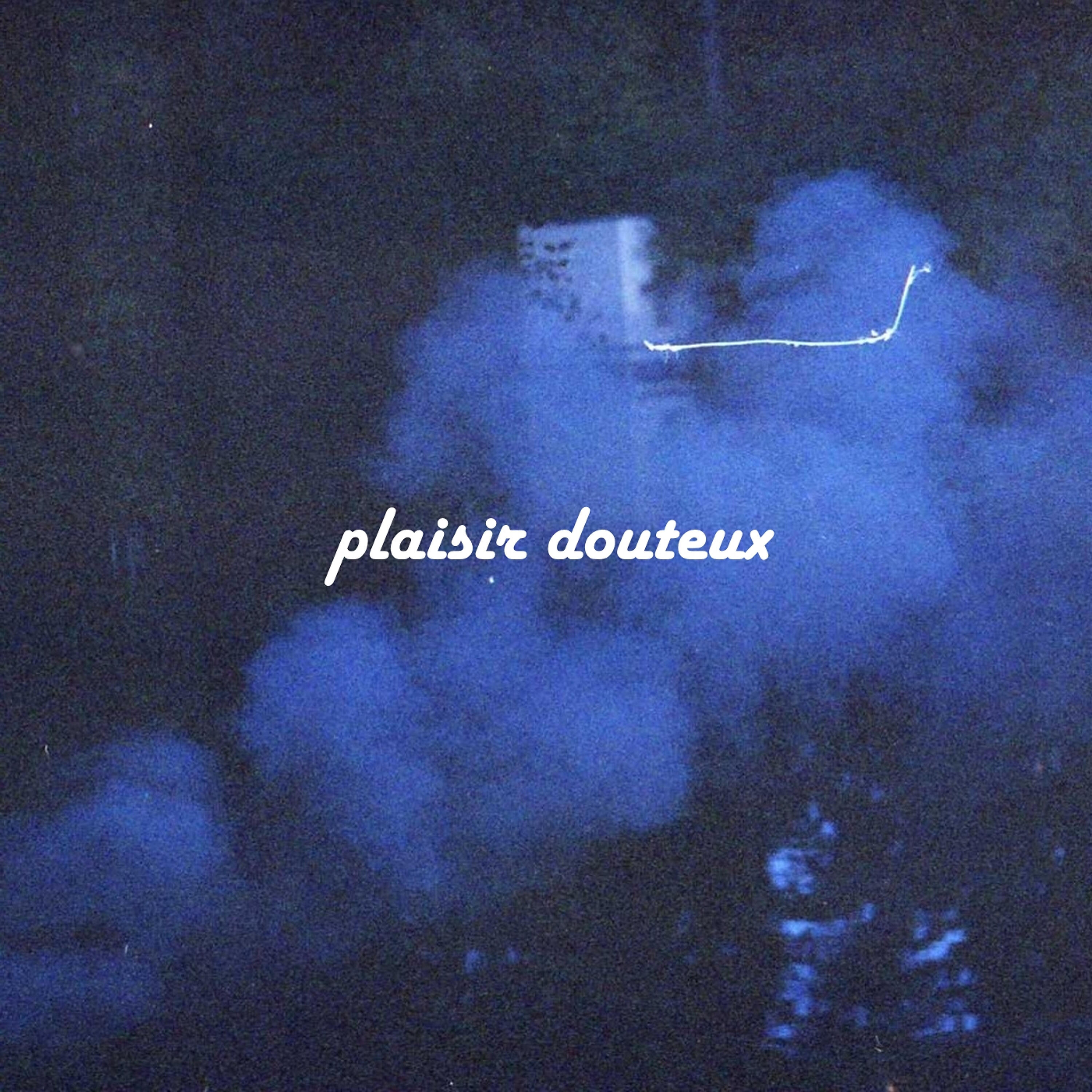 Plaisir Douteux - сюрр