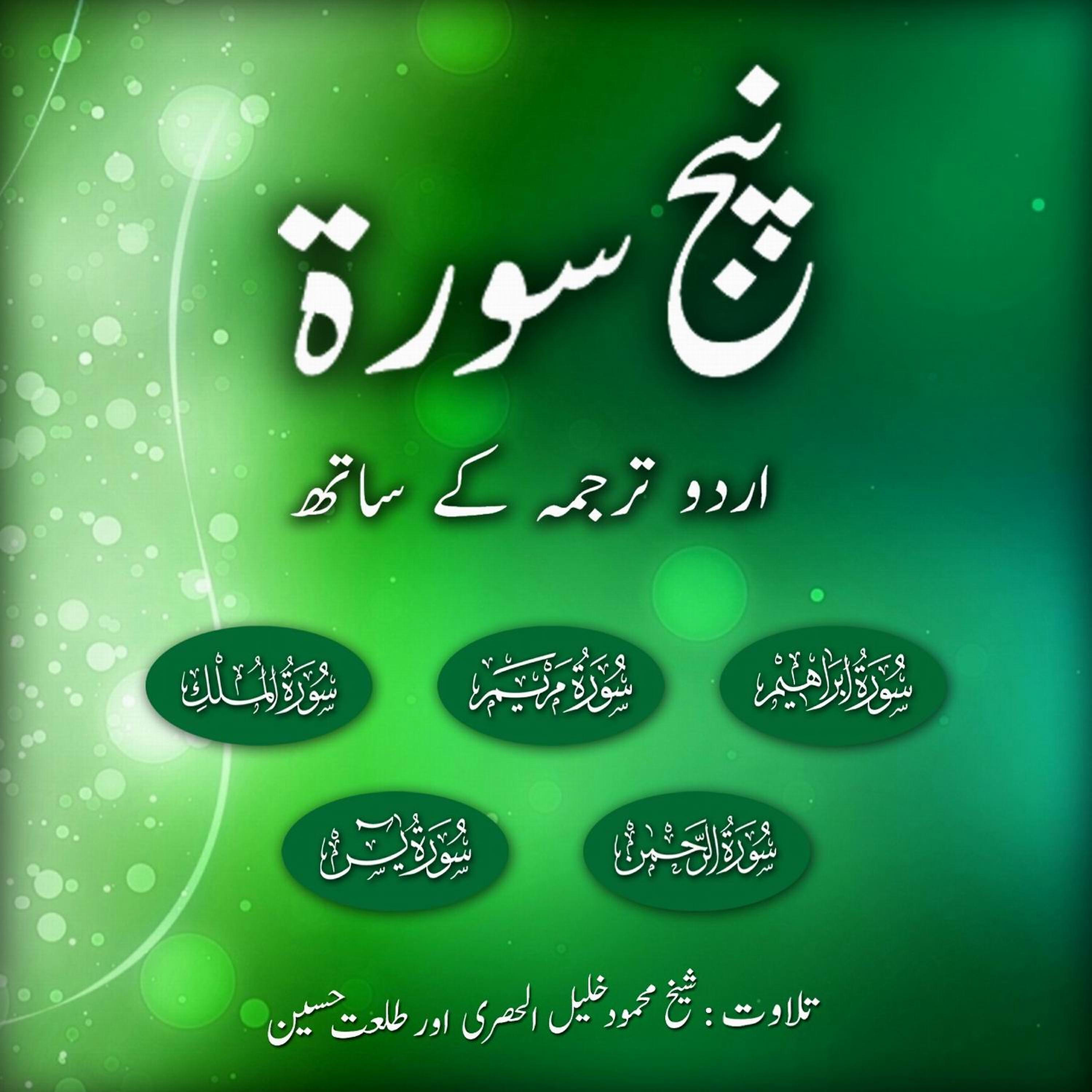 Sheikh Mahmood Ul Huzri - Surah Mulk