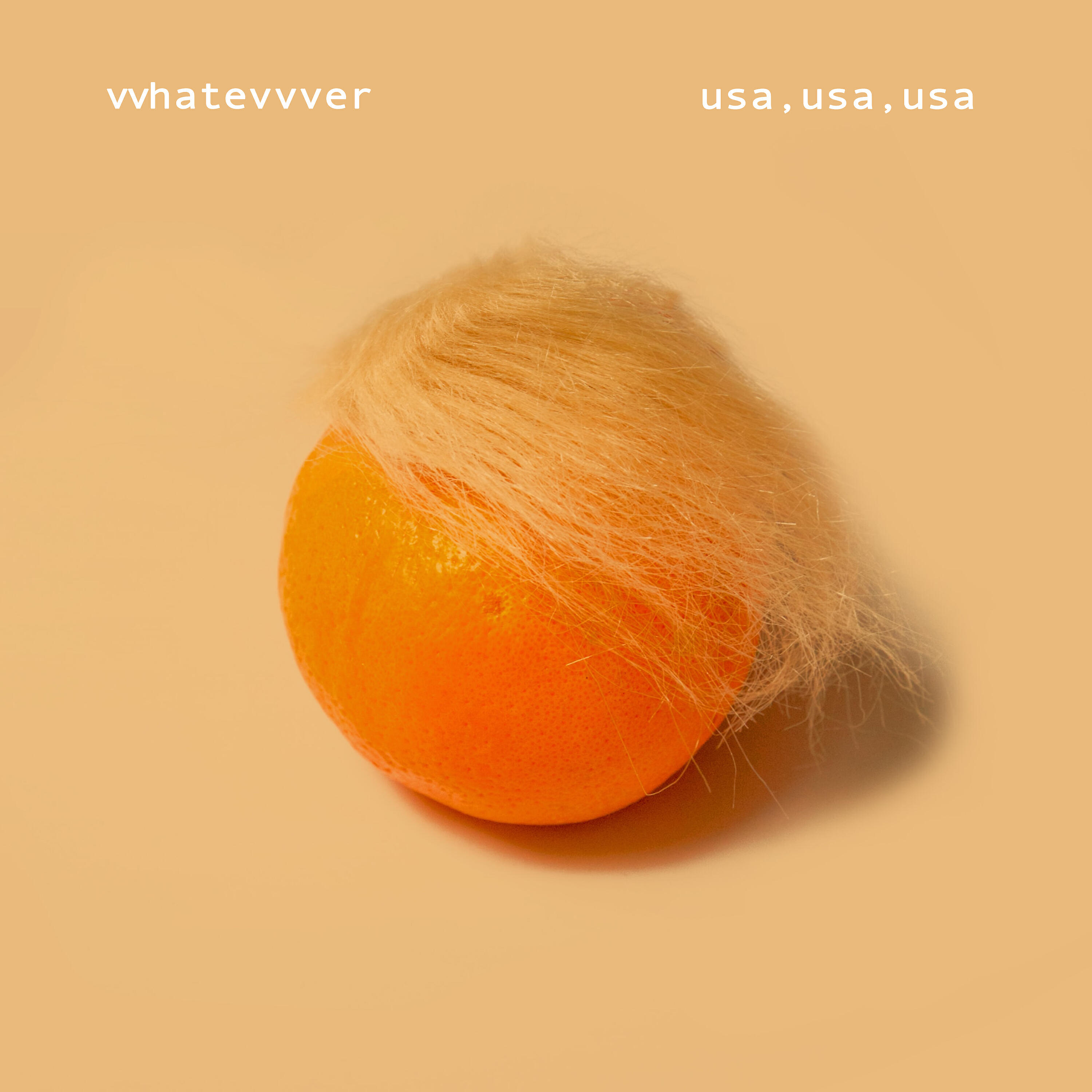 vvhatevvver - Protesting the Repressive Regime