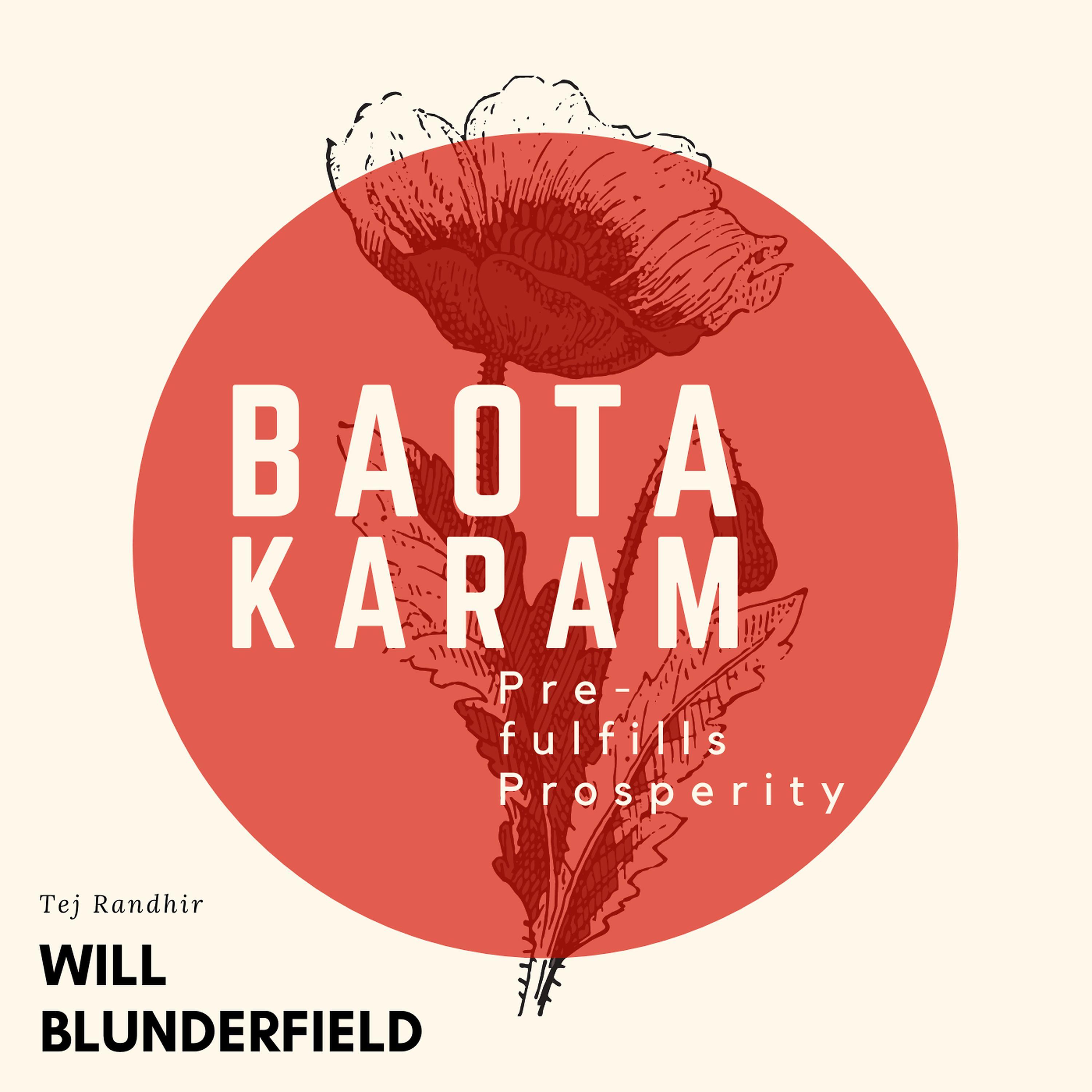 Постер альбома Tej Randhir: Baota Karam (Pre-Fulfills Prosperity)