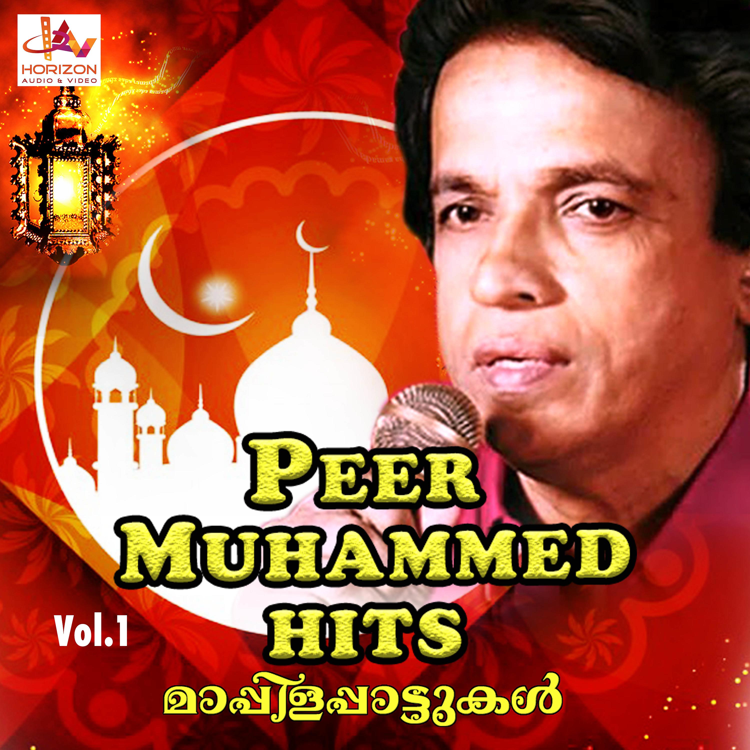 Постер альбома Peer Muhammed Hits, Vol. 1