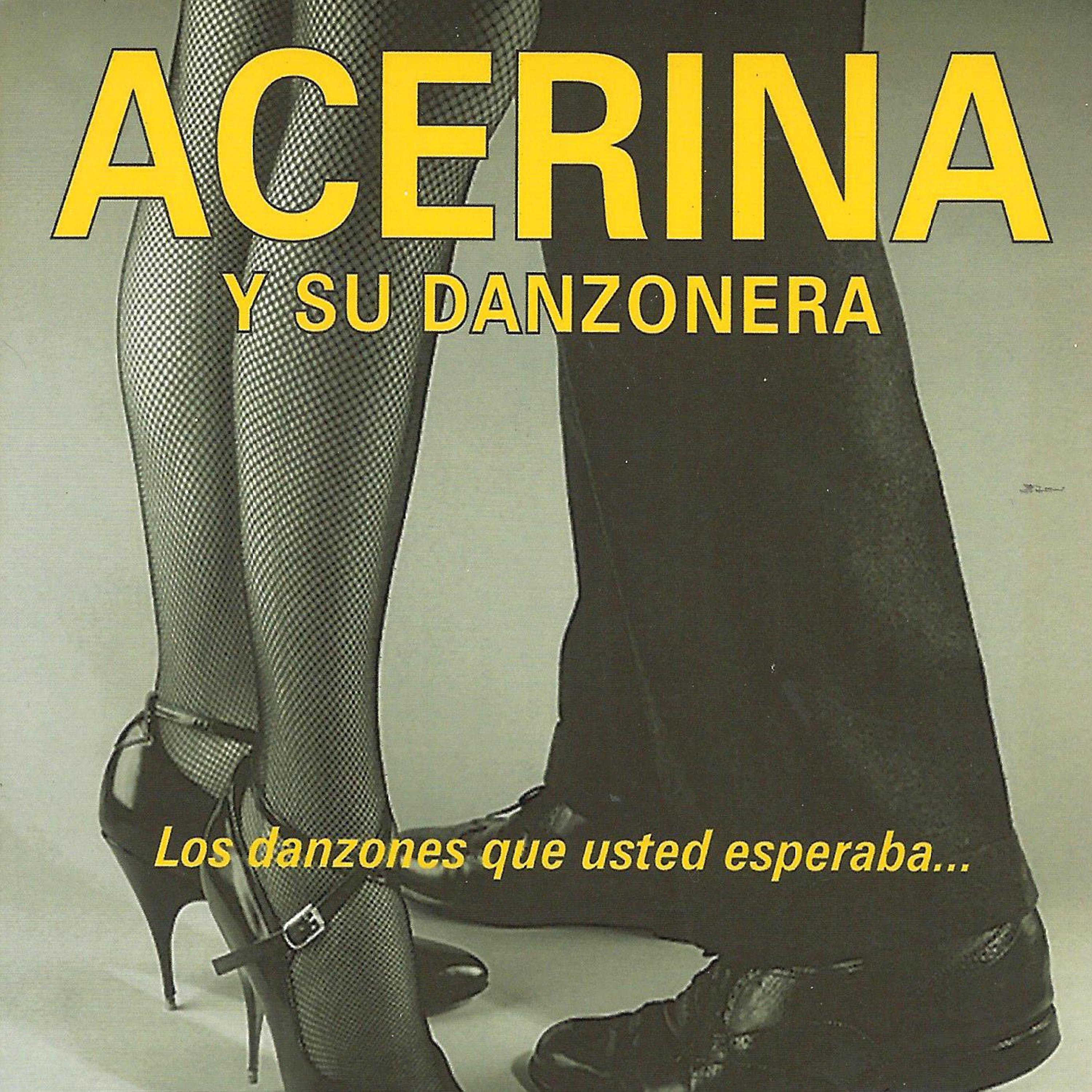Постер альбома Los Danzones Que Usted Esperaba