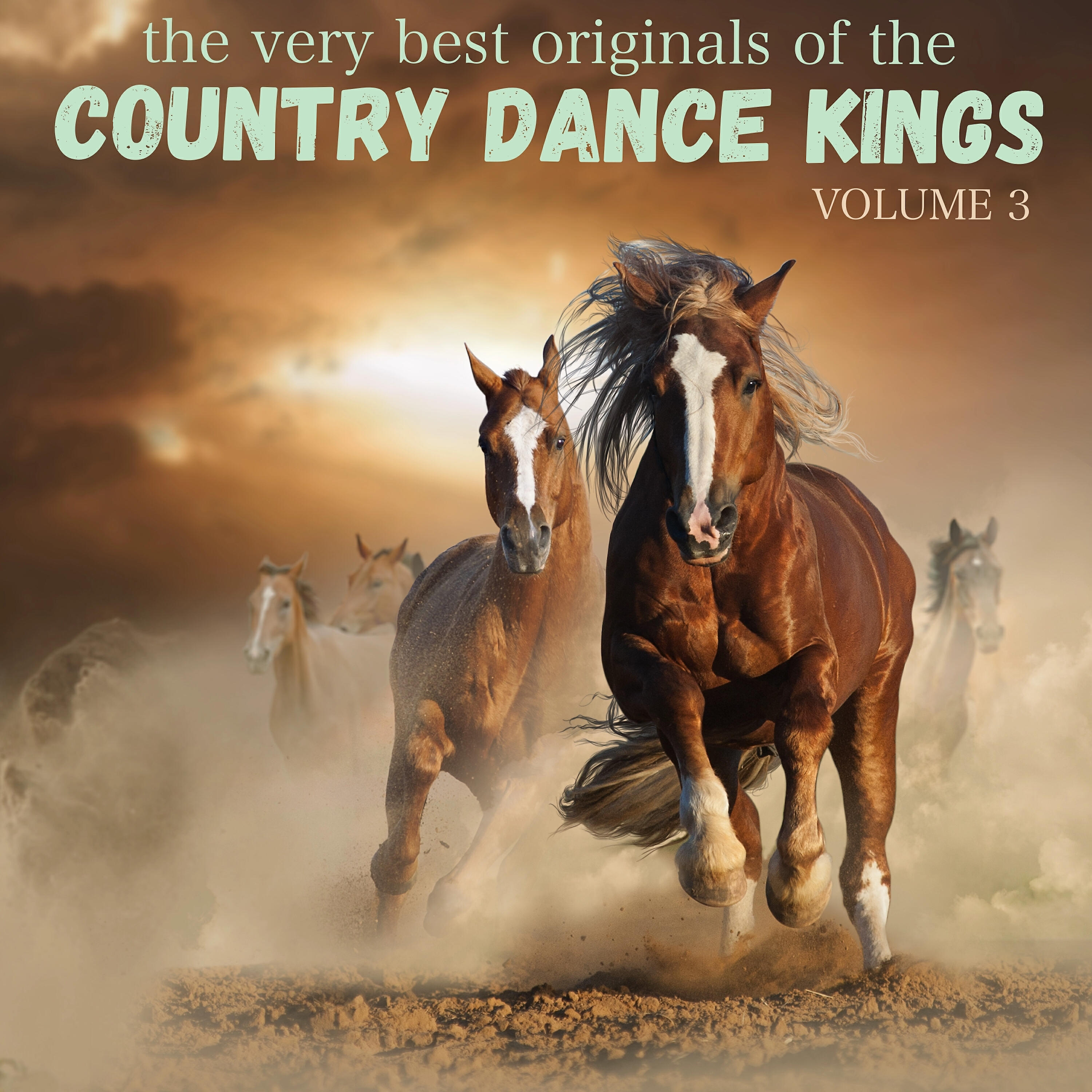 The Country Dance Kings - Probably Forever