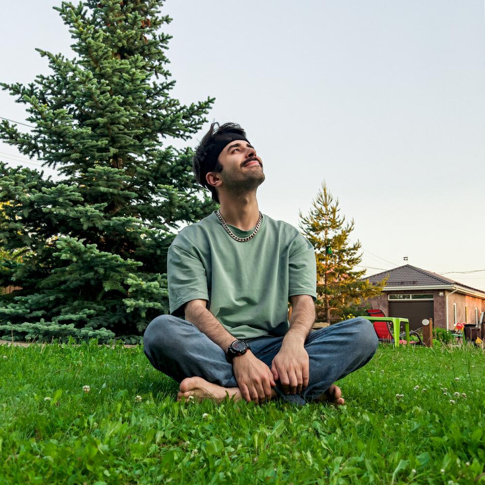 Гусь все песни в mp3