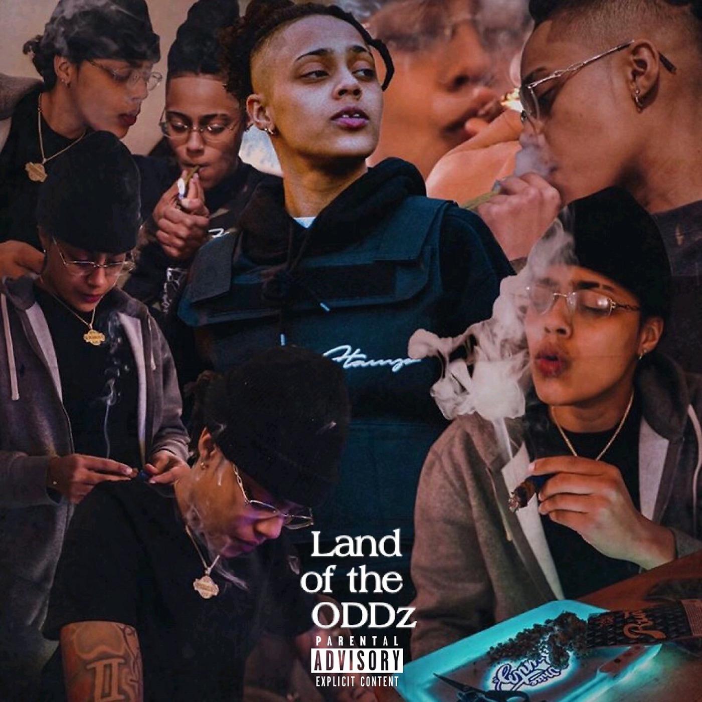 Постер альбома Land of the Oddz
